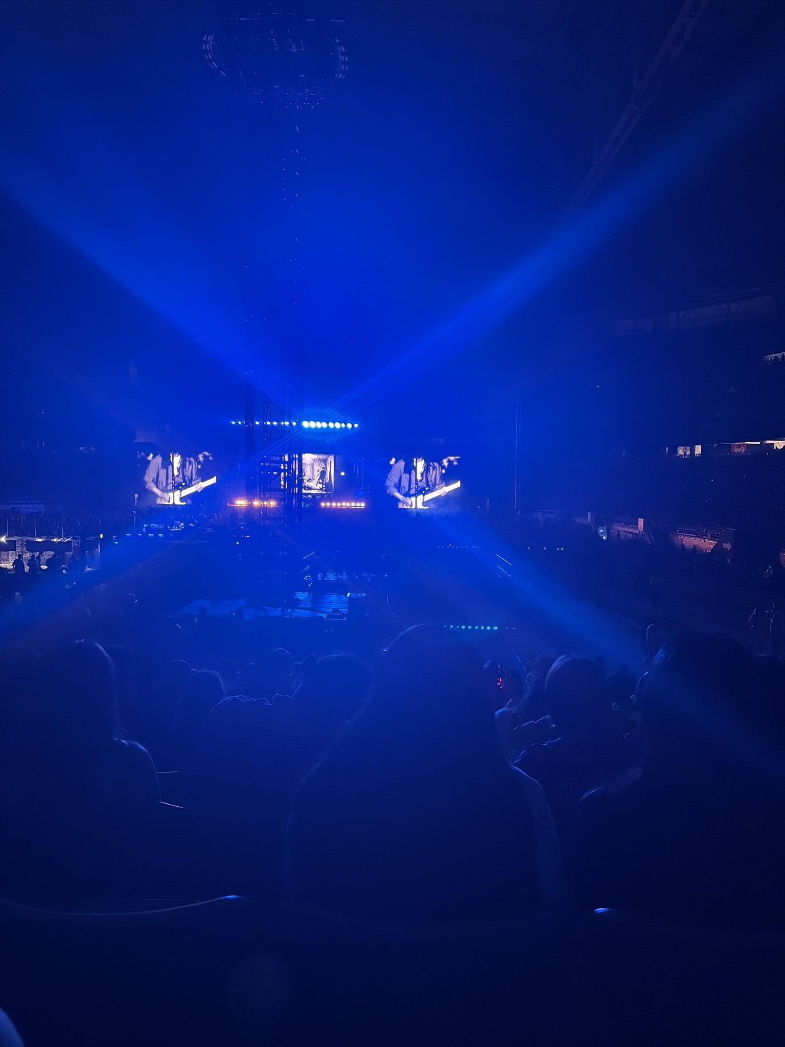 Real Fan View taken from Section 117 at State Farm Stadium by Kiara C