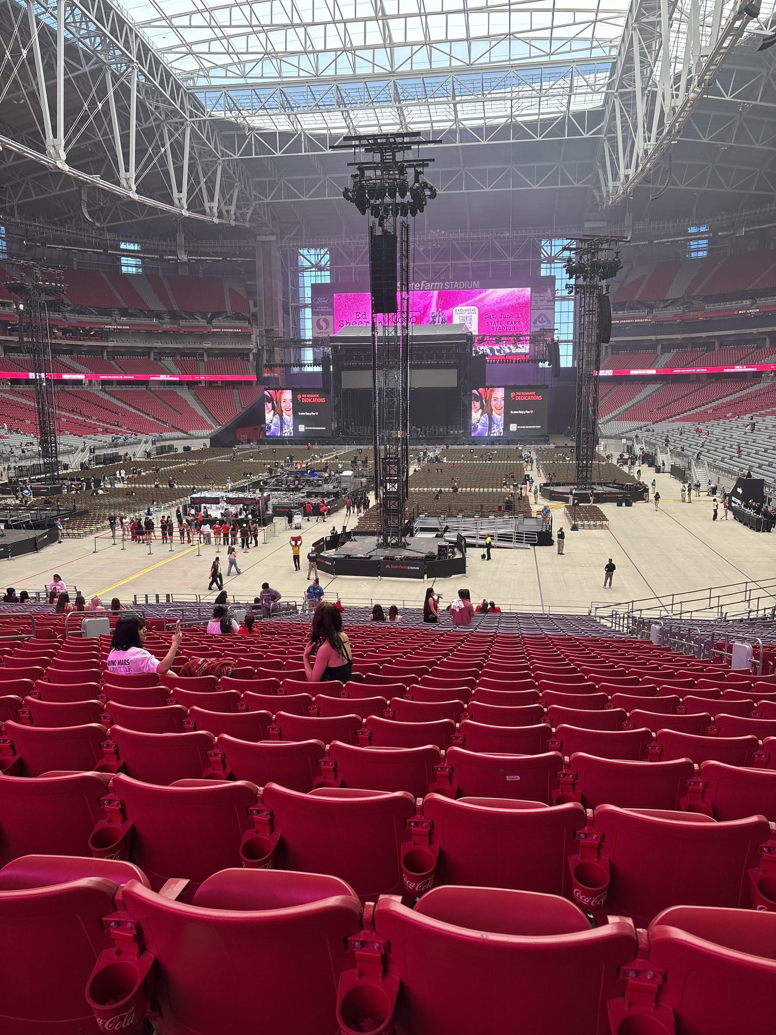 Real Fan View taken from Section 117 at State Farm Stadium by Christina D