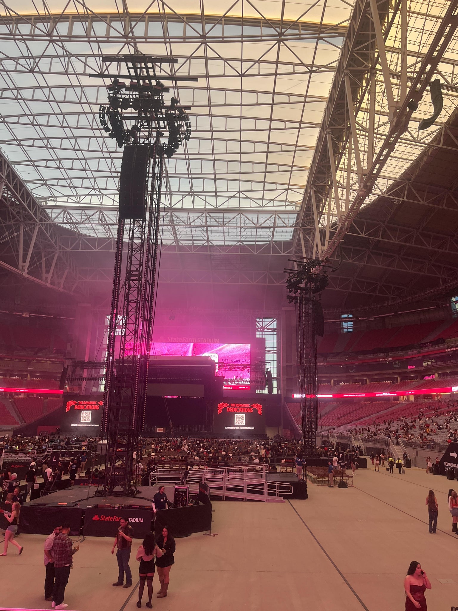 Real Fan View taken from Section 117 at State Farm Stadium by Ivy B