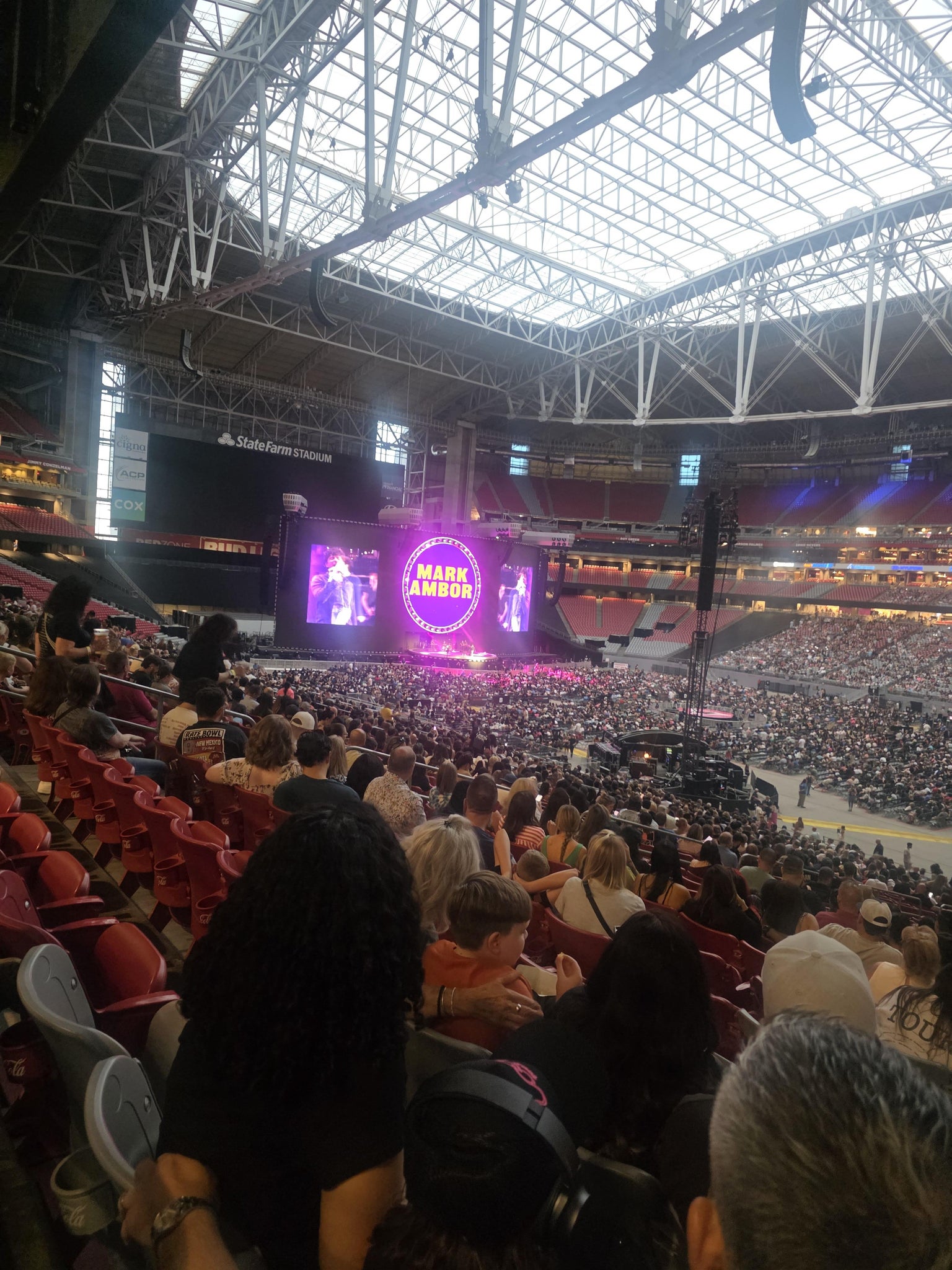 Real Fan View taken from Section 125 at State Farm Stadium by Jesse L