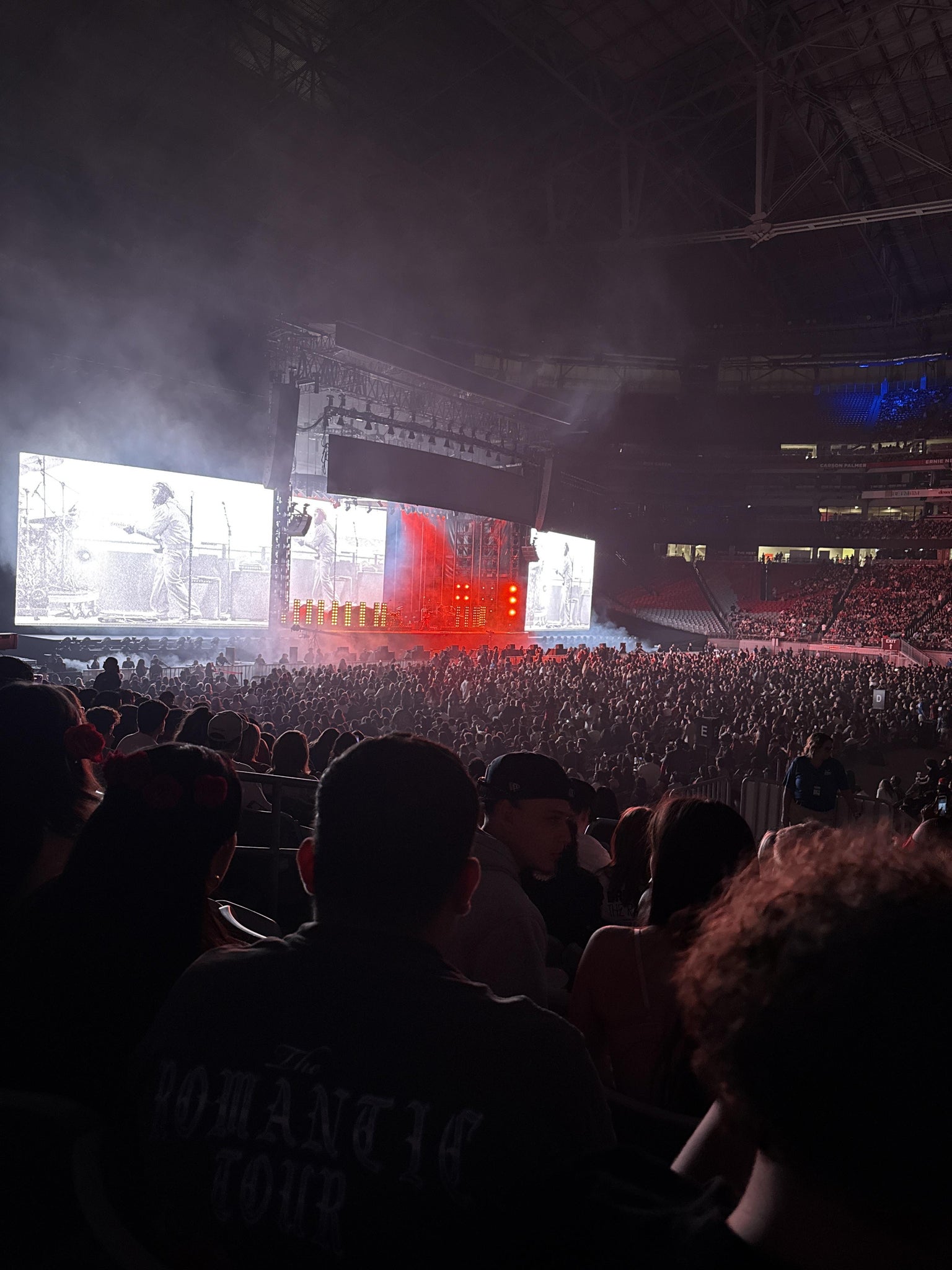 Real Fan View taken from Section 131 at State Farm Stadium by Laurenne C