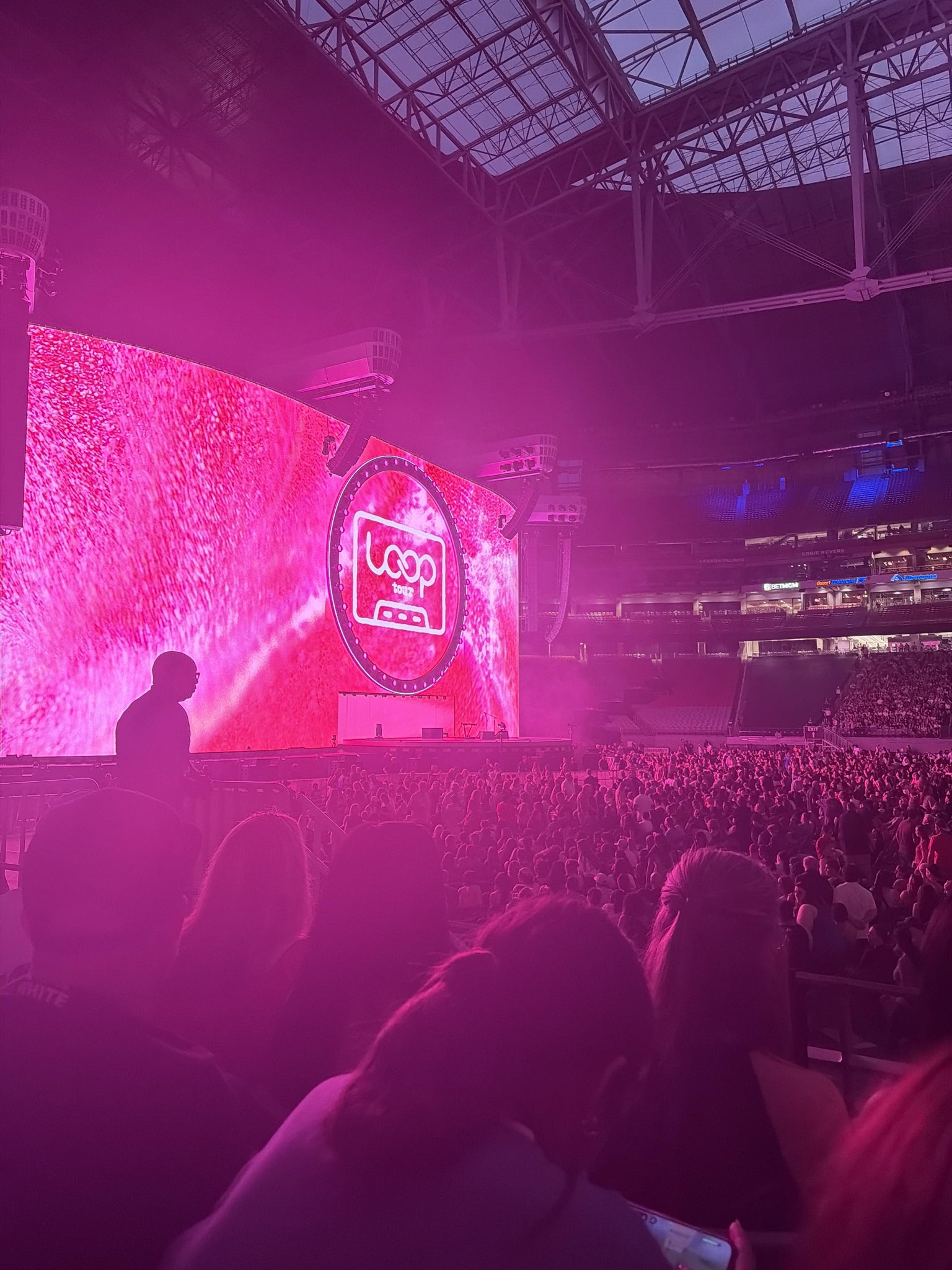 Real Fan View taken from Section 132 at State Farm Stadium by Christina S