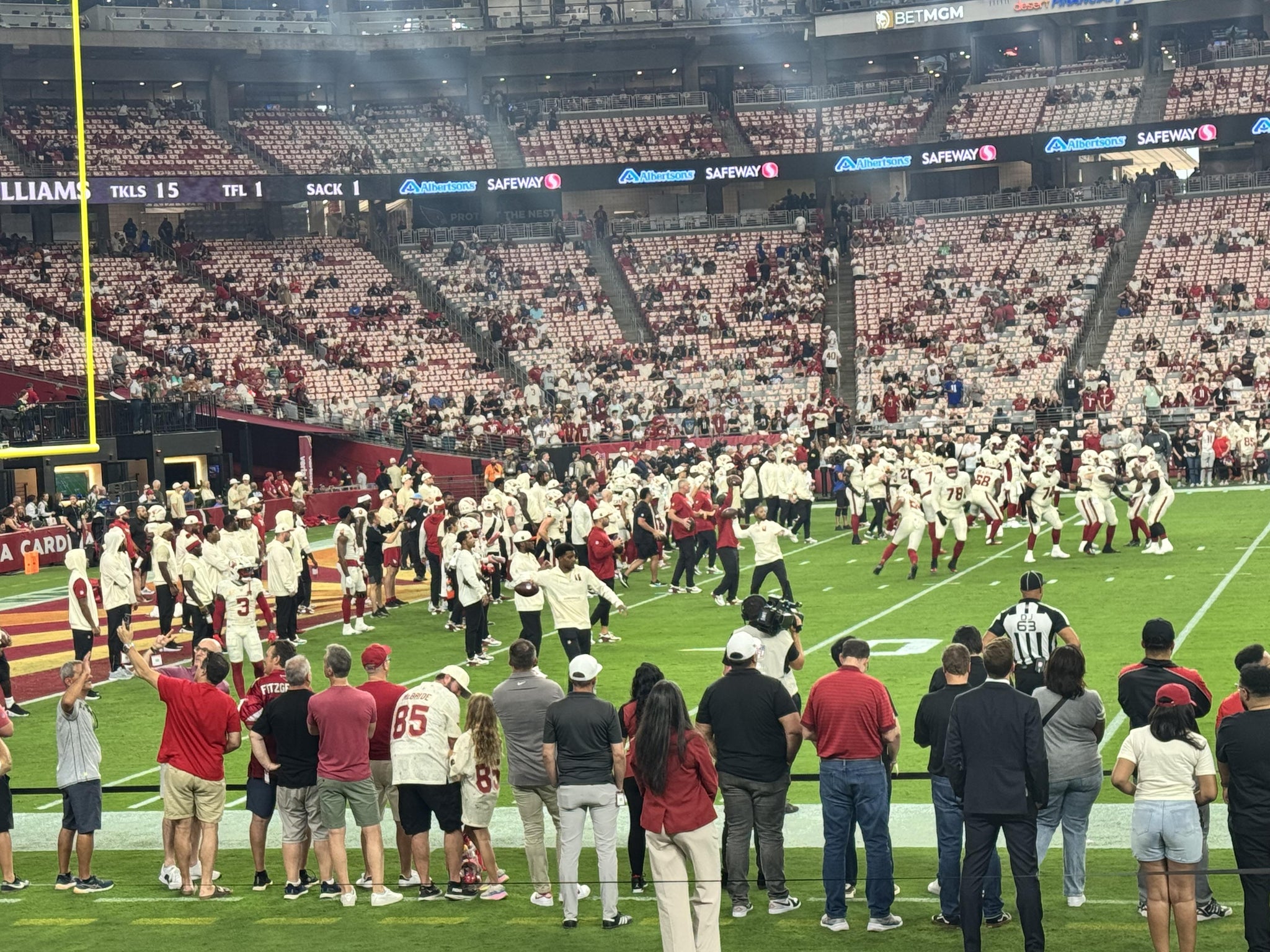 Real Fan View taken from Section 132 at State Farm Stadium by Thomas S