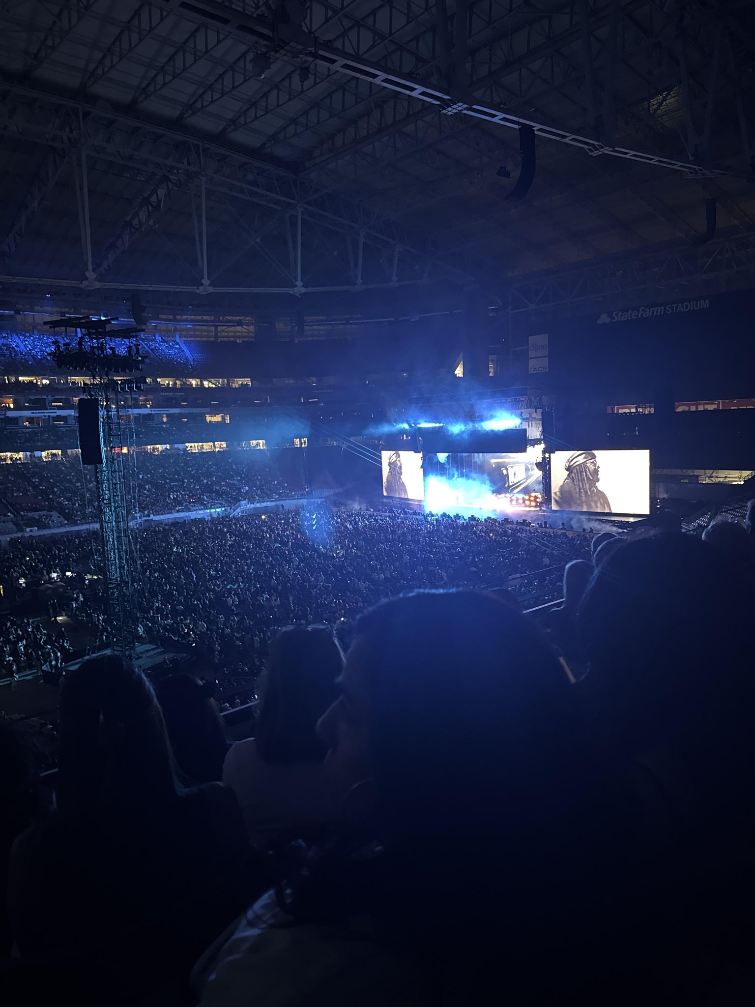 Real Fan View taken from Section 214 at State Farm Stadium by Susana M