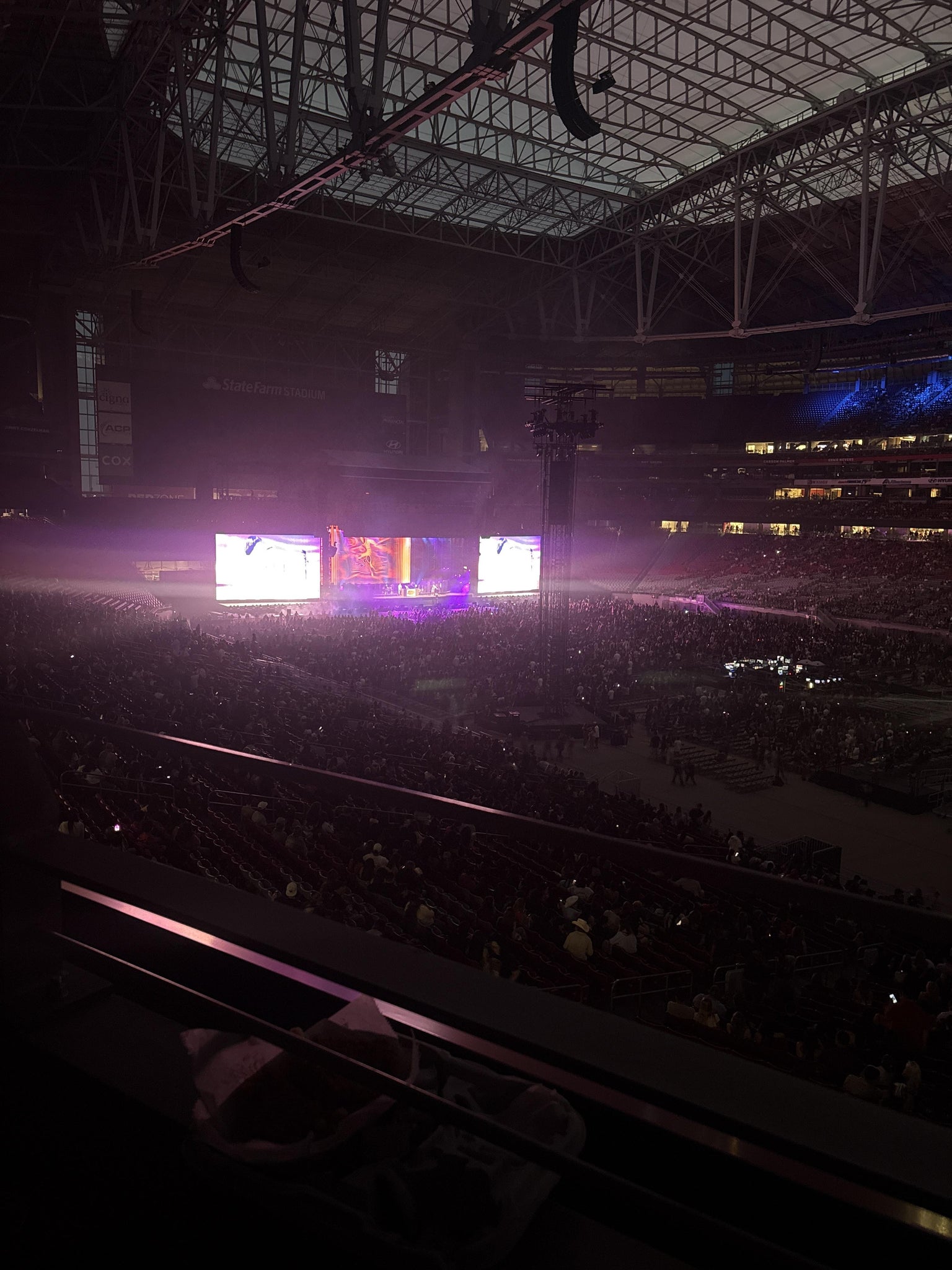 Real Fan View taken from Section 231 at State Farm Stadium by Kaneshia M