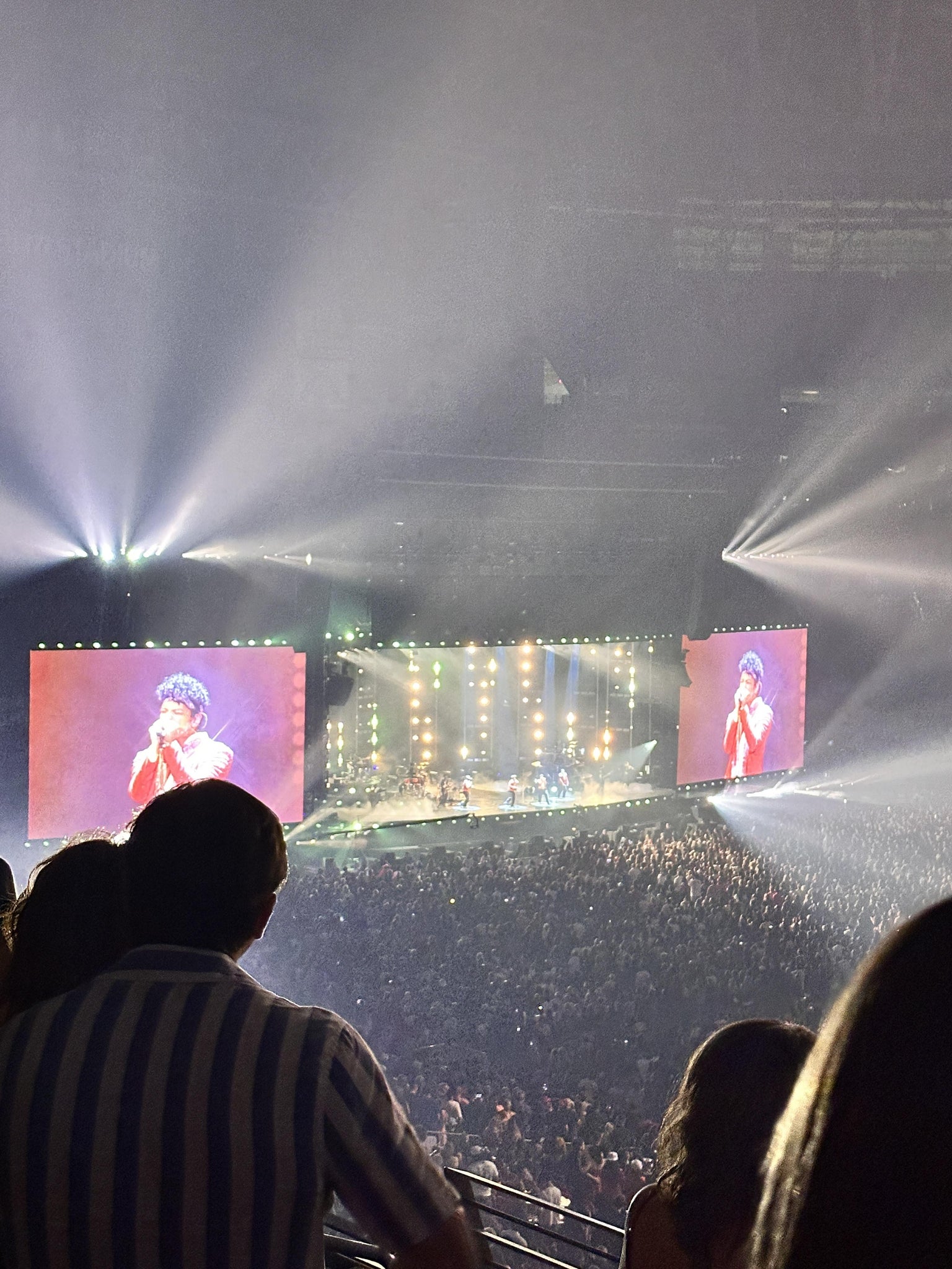 Real Fan View taken from Section 235 at State Farm Stadium by Mikayla V