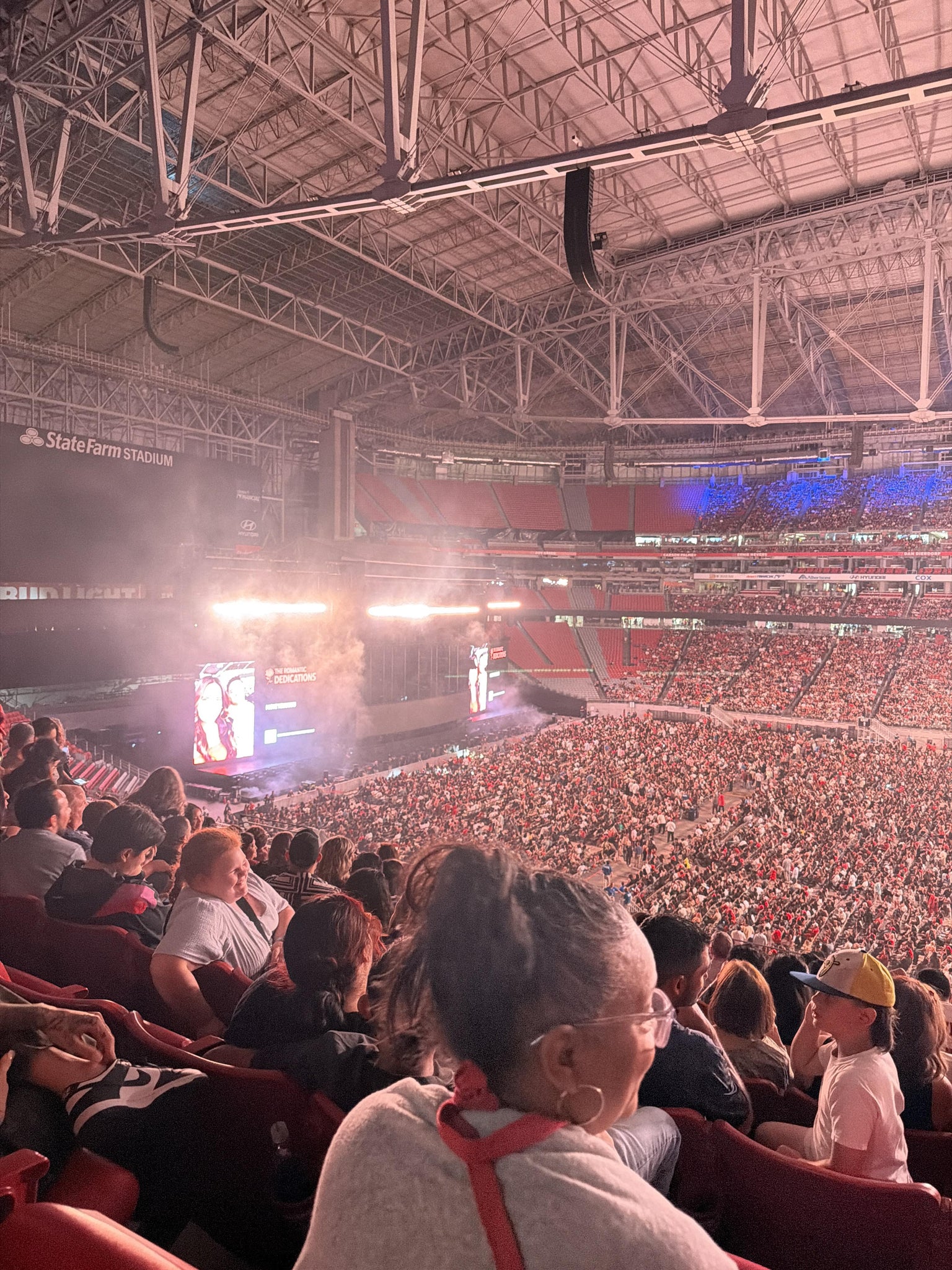 Real Fan View taken from Section 238 at State Farm Stadium by Ellie R