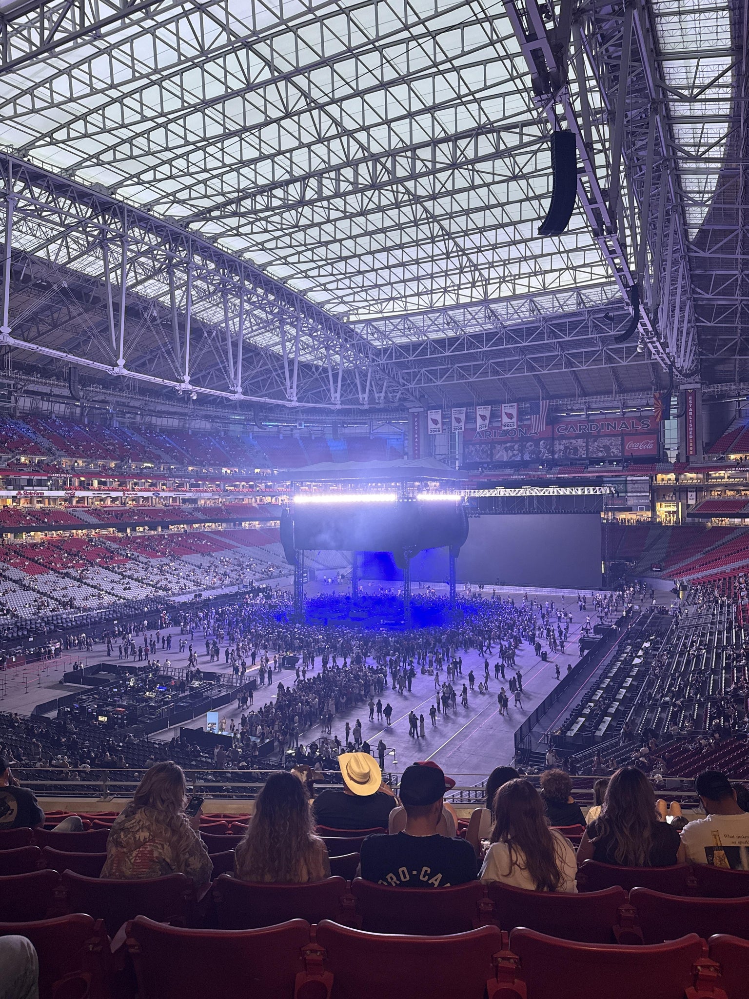 Real Fan View taken from Section 248 at State Farm Stadium by Jasmine T