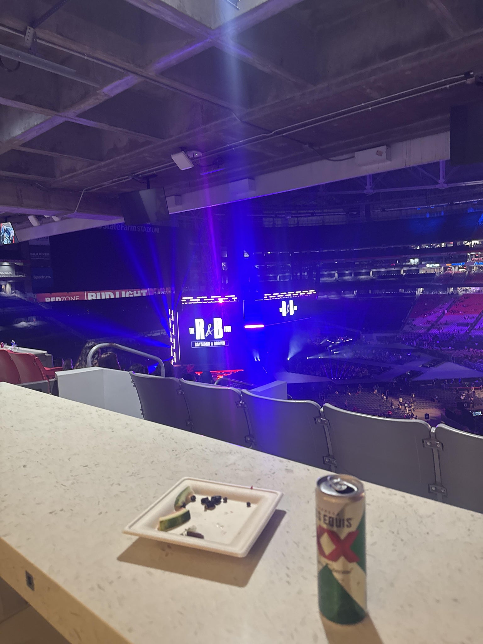Real Fan View taken from 50 East Loft at State Farm Stadium by Davon L