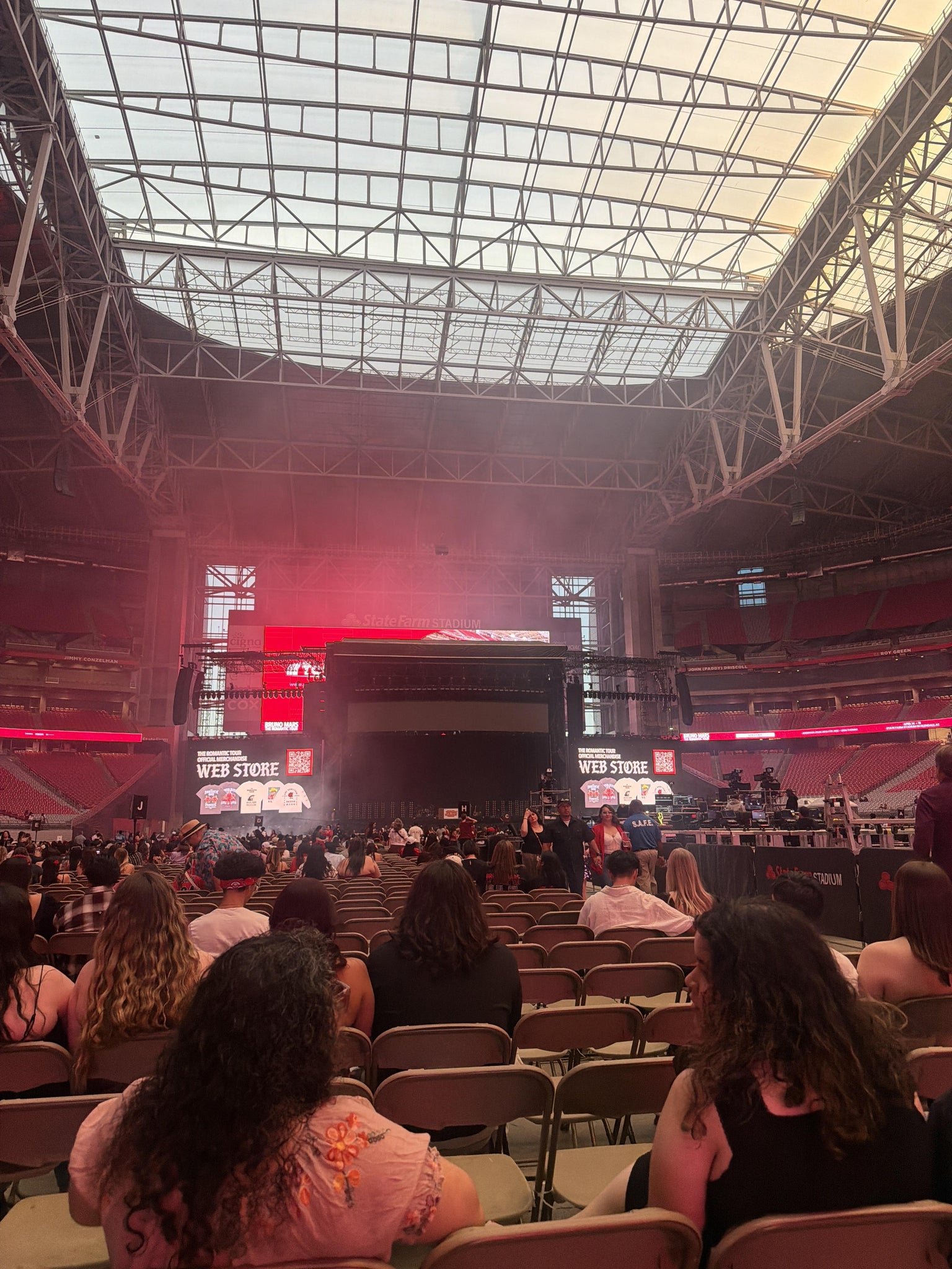 Real Fan View taken from Field M at State Farm Stadium by Cynthia I