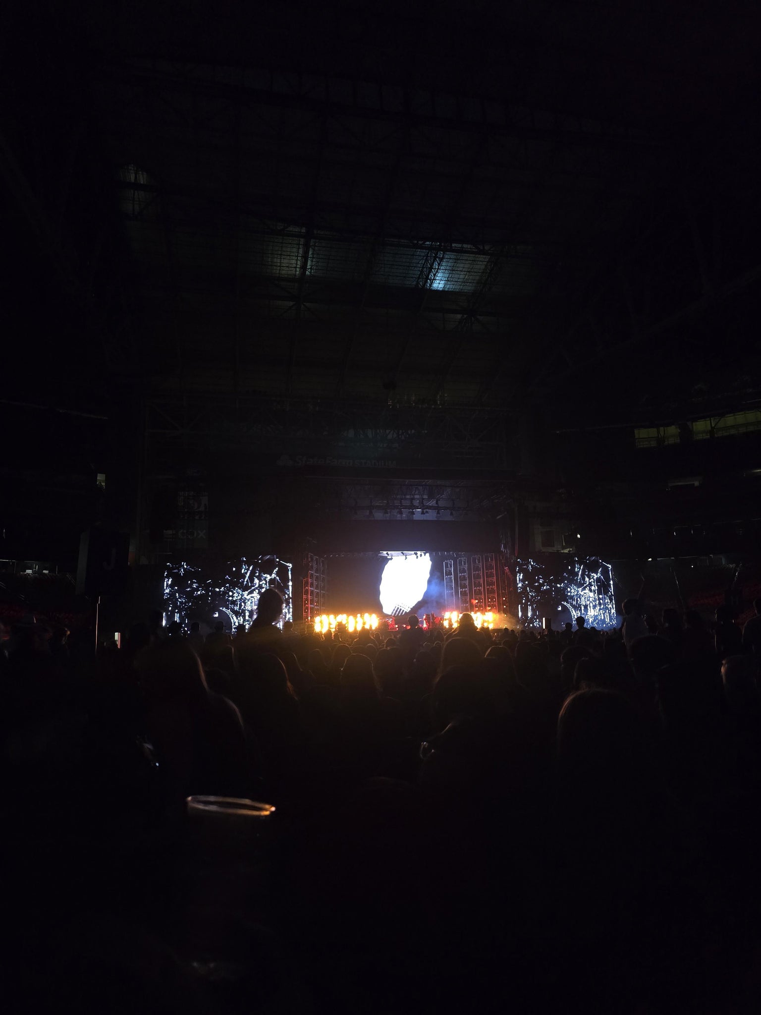 Real Fan View taken from Field M at State Farm Stadium by Evelyn L