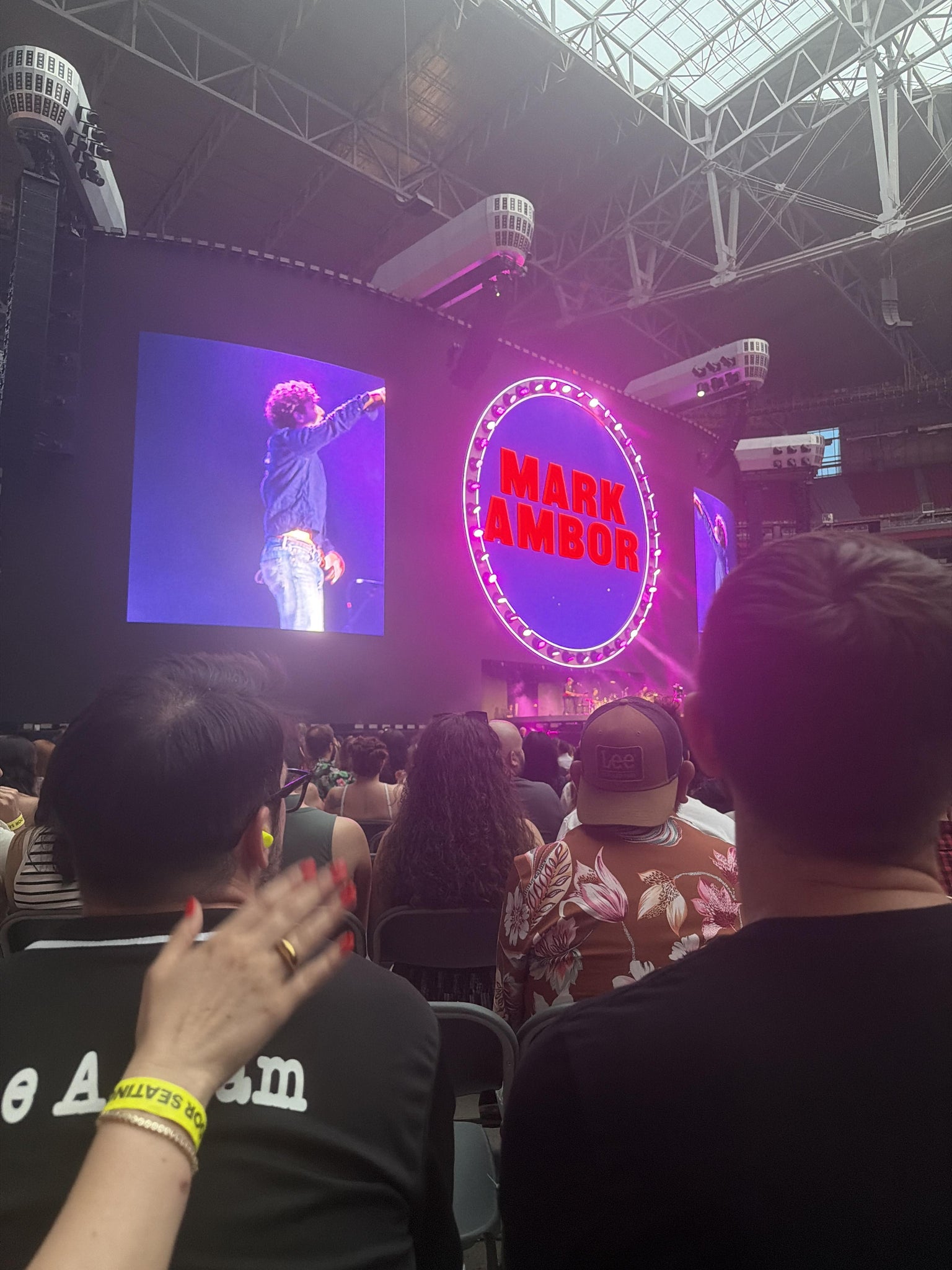 Real Fan View taken from Floor A at State Farm Stadium by Stephanie W