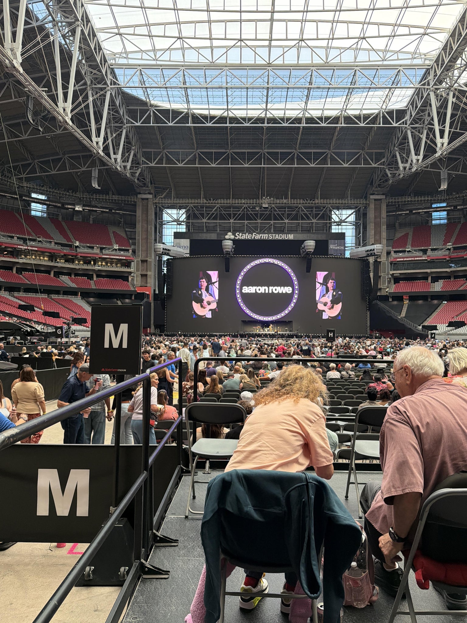 Real Fan View taken from Floor M ADA at State Farm Stadium by Araly N