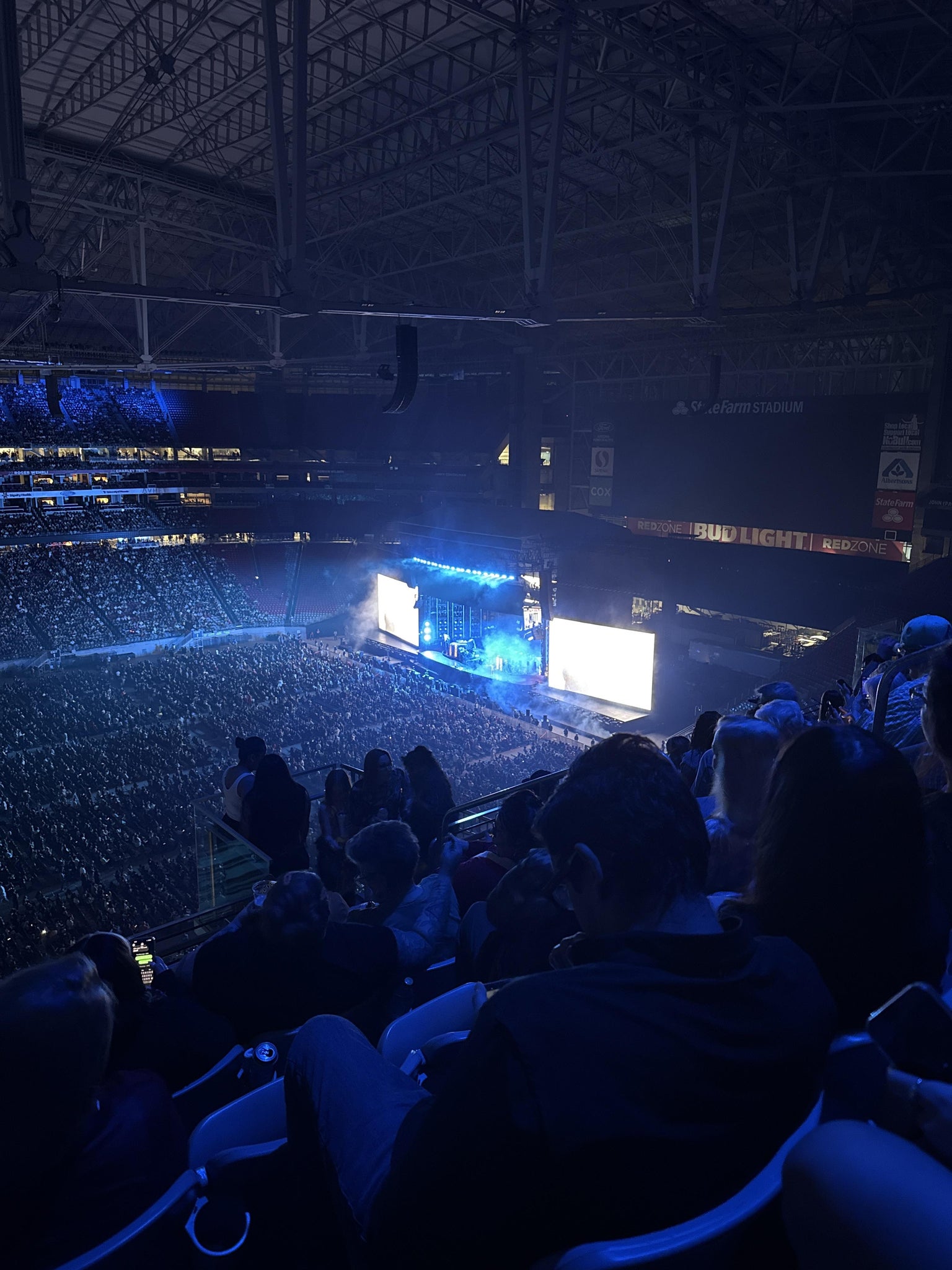 Real Fan View taken from Terrace 414 at State Farm Stadium by Trisha S