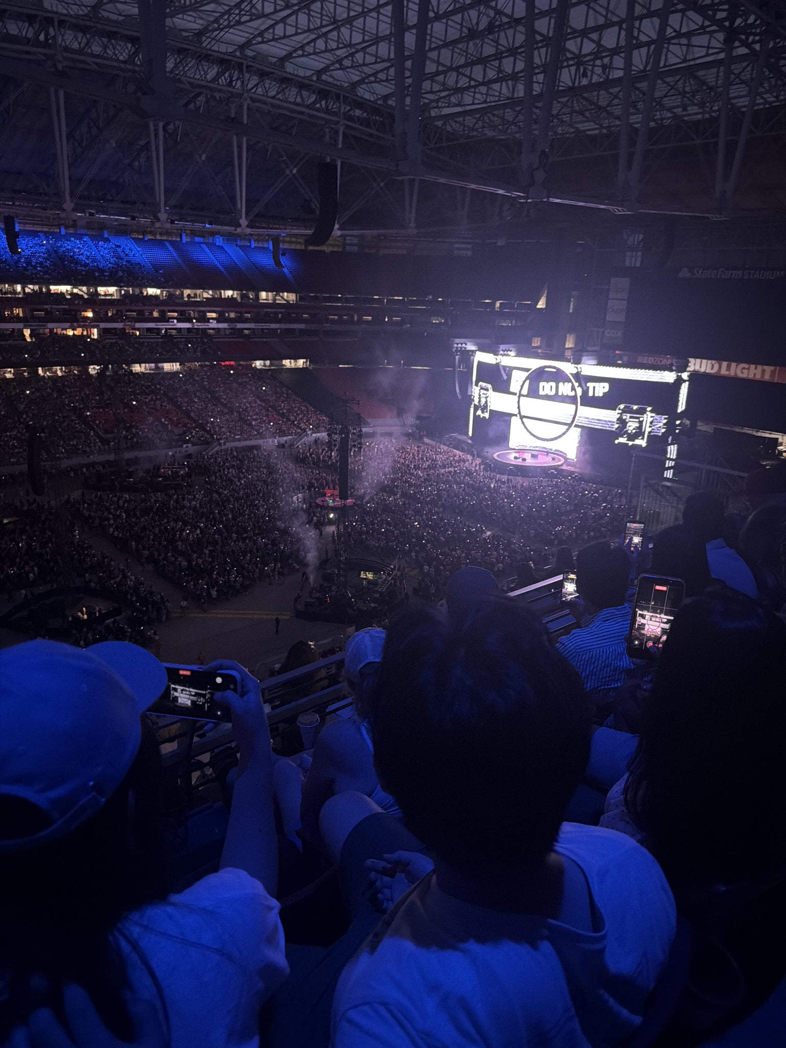 Real Fan View taken from Terrace 418 at State Farm Stadium by Andrea R