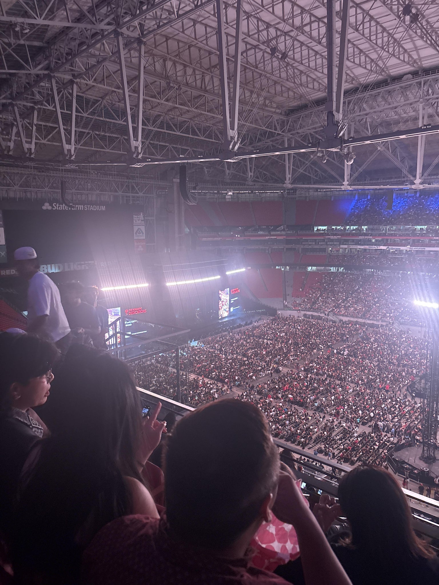 Real Fan View taken from Terrace 441 at State Farm Stadium by Ange G