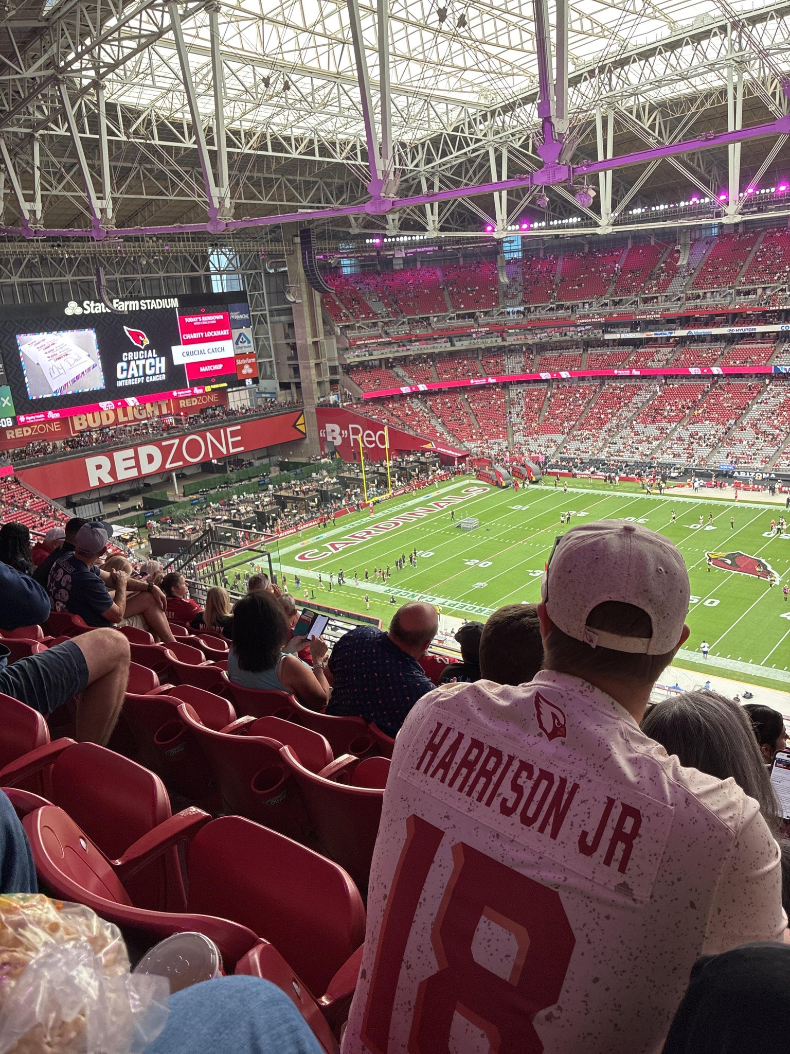 Real Fan View taken from Terrace 441 at State Farm Stadium by Sarah A
