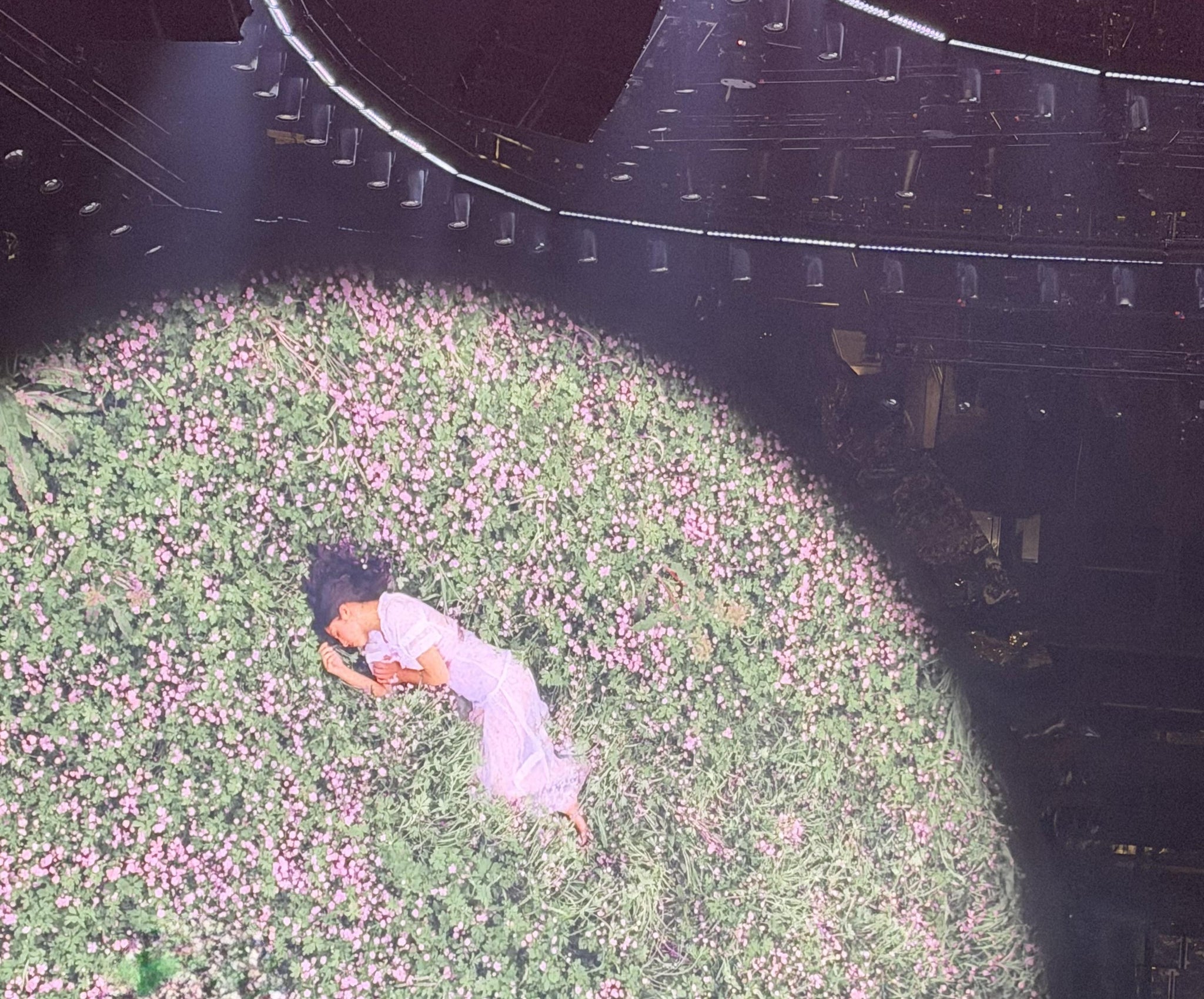 Vue réelle des fans prise de la Loge 12 au site TD Garden par Anonymous User