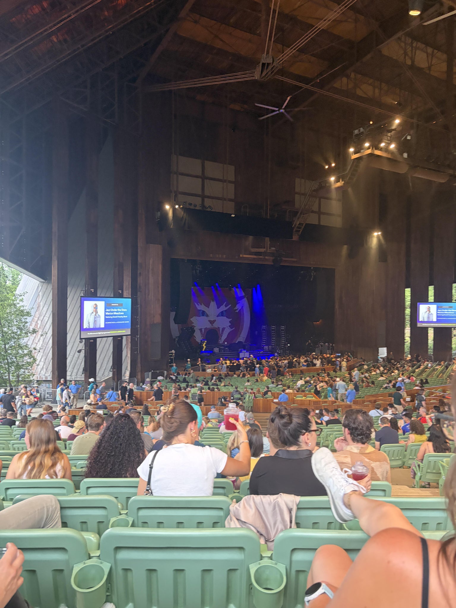 Real Fan View taken from Main at TD Pavilion at Highmark Mann by Emily K