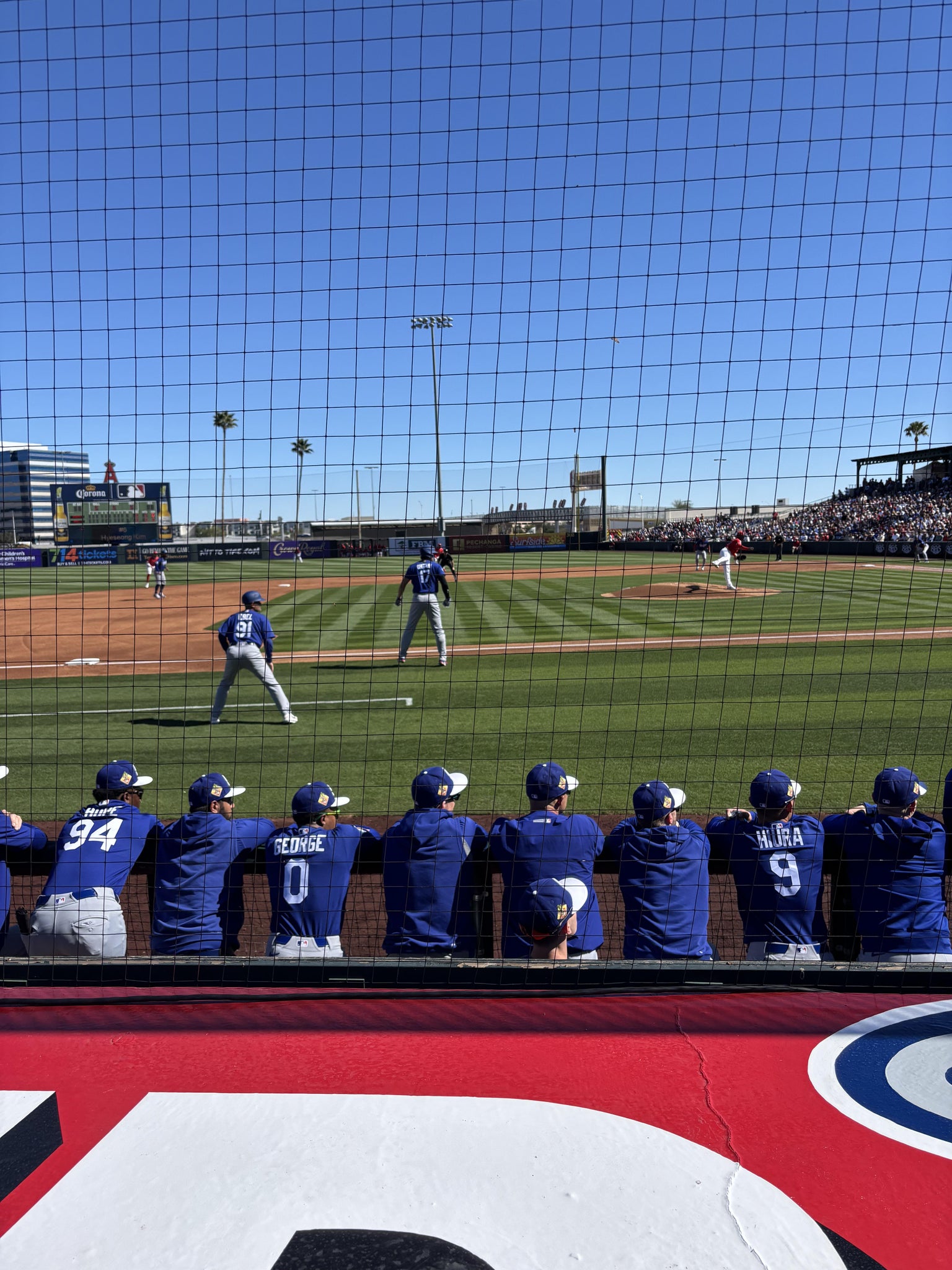 Real Fan View taken from Section 5 at Tempe Diablo Stadium by Karen A