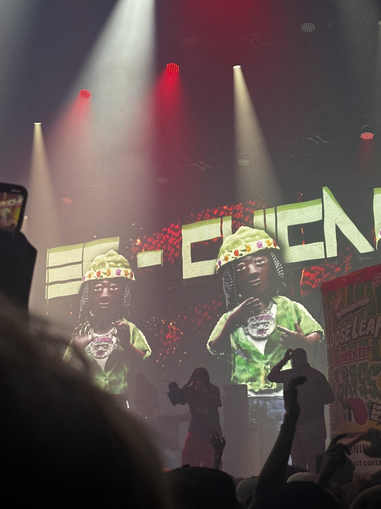 Real Fan View taken from GA Floor at The Armory - Minneapolis by Jade A