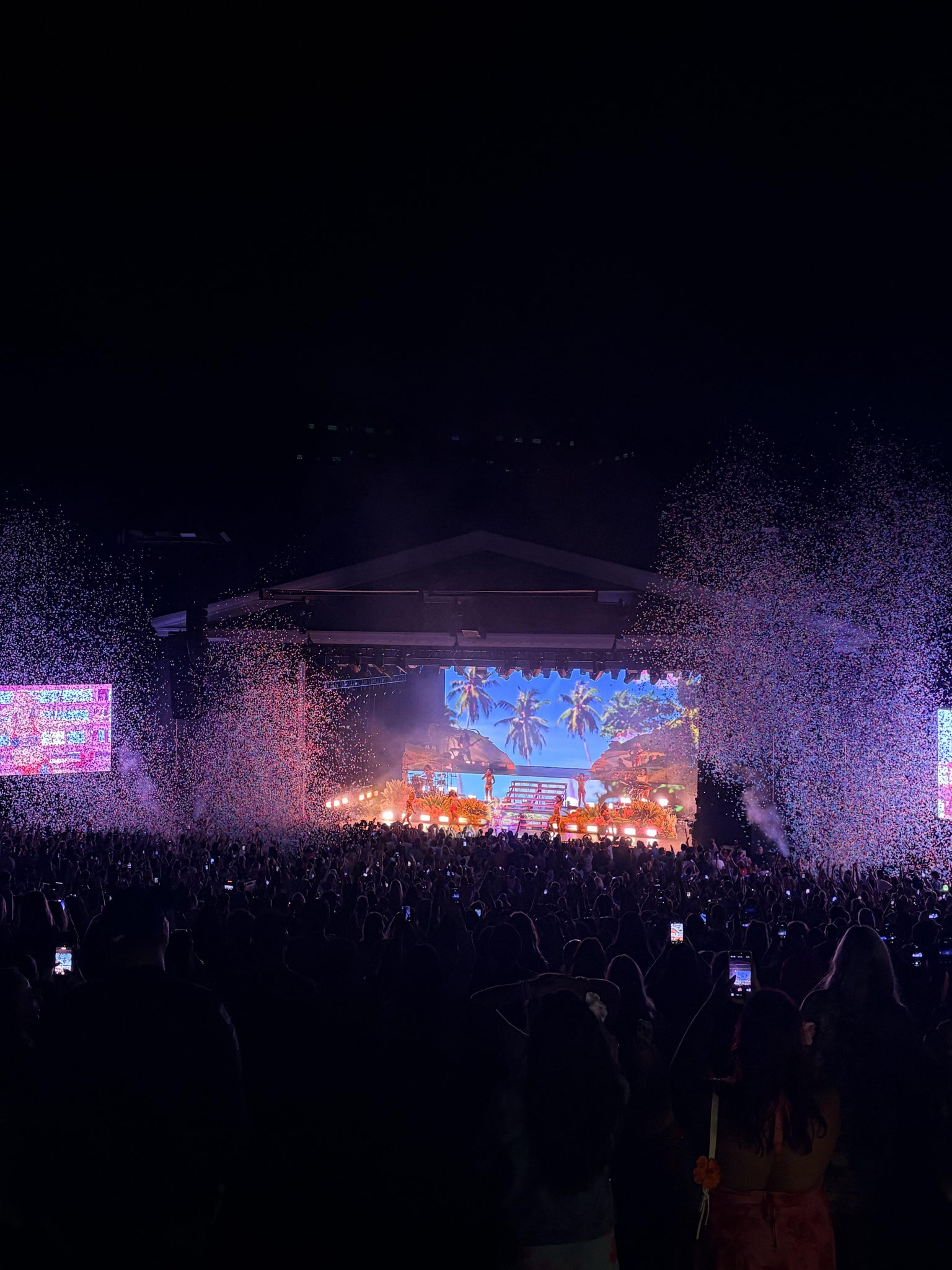 Real Fan View taken from C Right at The Greek Theatre - Los Angeles by Benjamin D