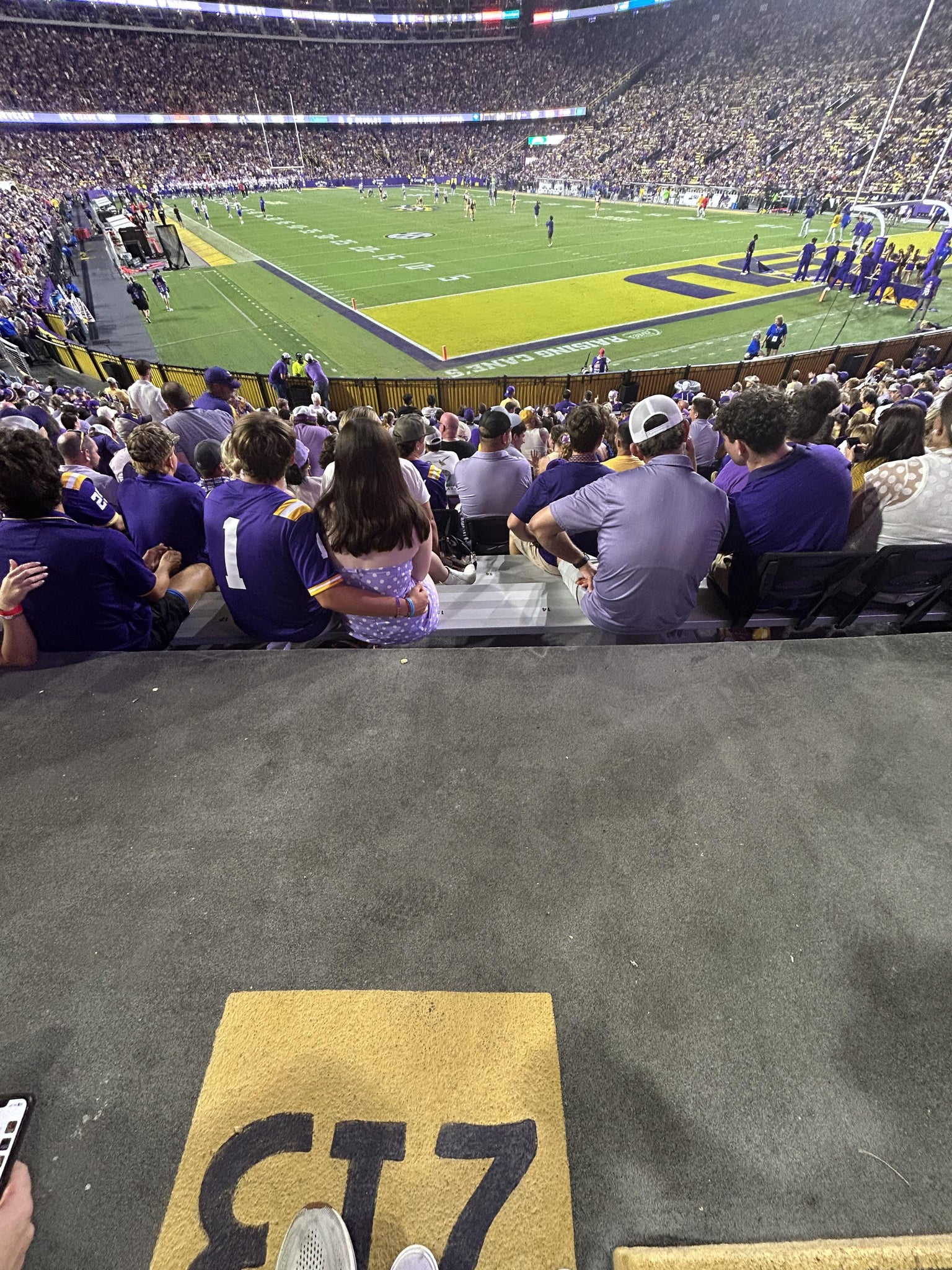 Vue réelle des fans prise de la Section 213 au site Tiger Stadium par Kimberly j C
