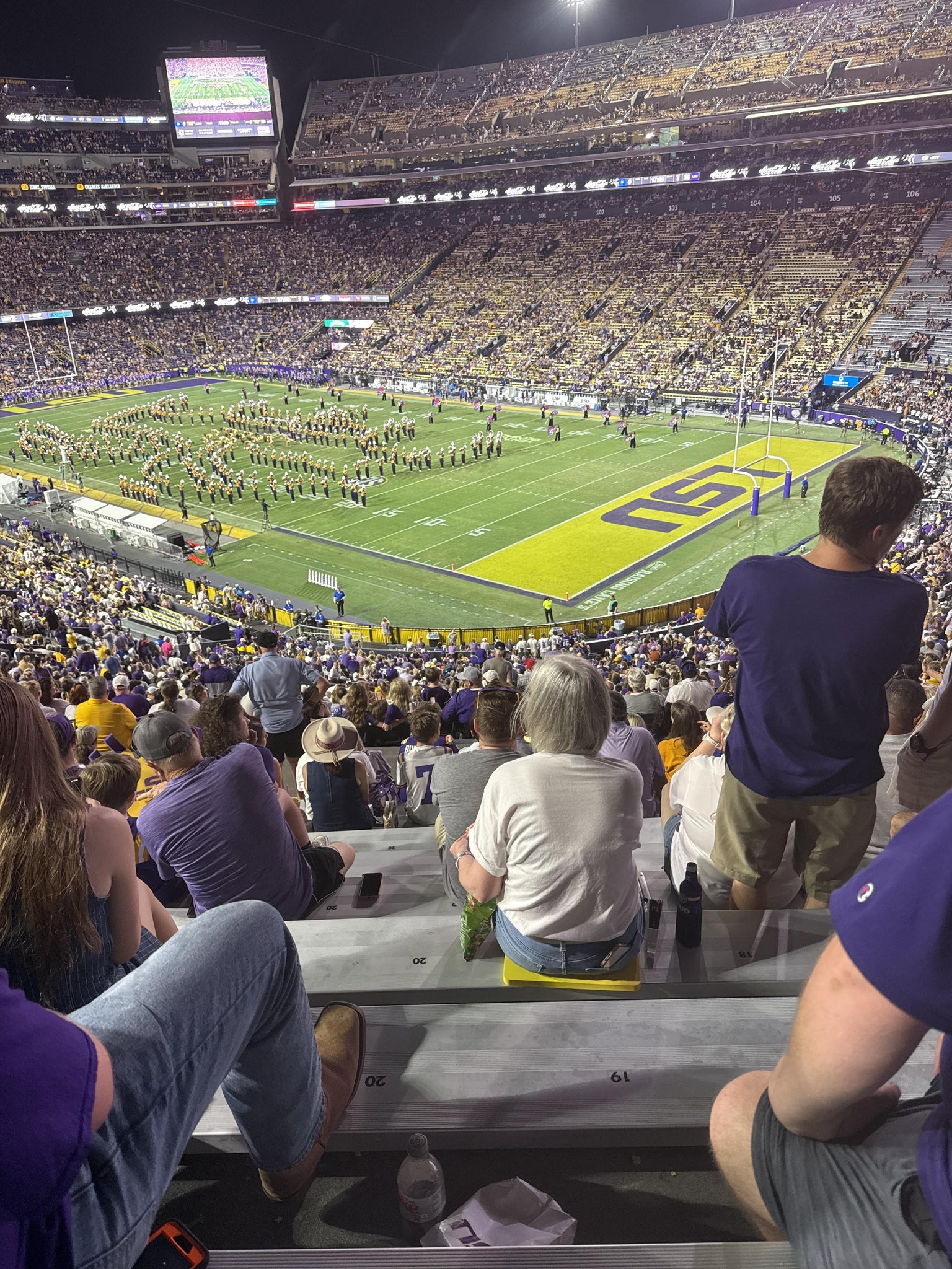 Vue réelle des fans prise de la Section 240 au site Tiger Stadium par Kiemya C