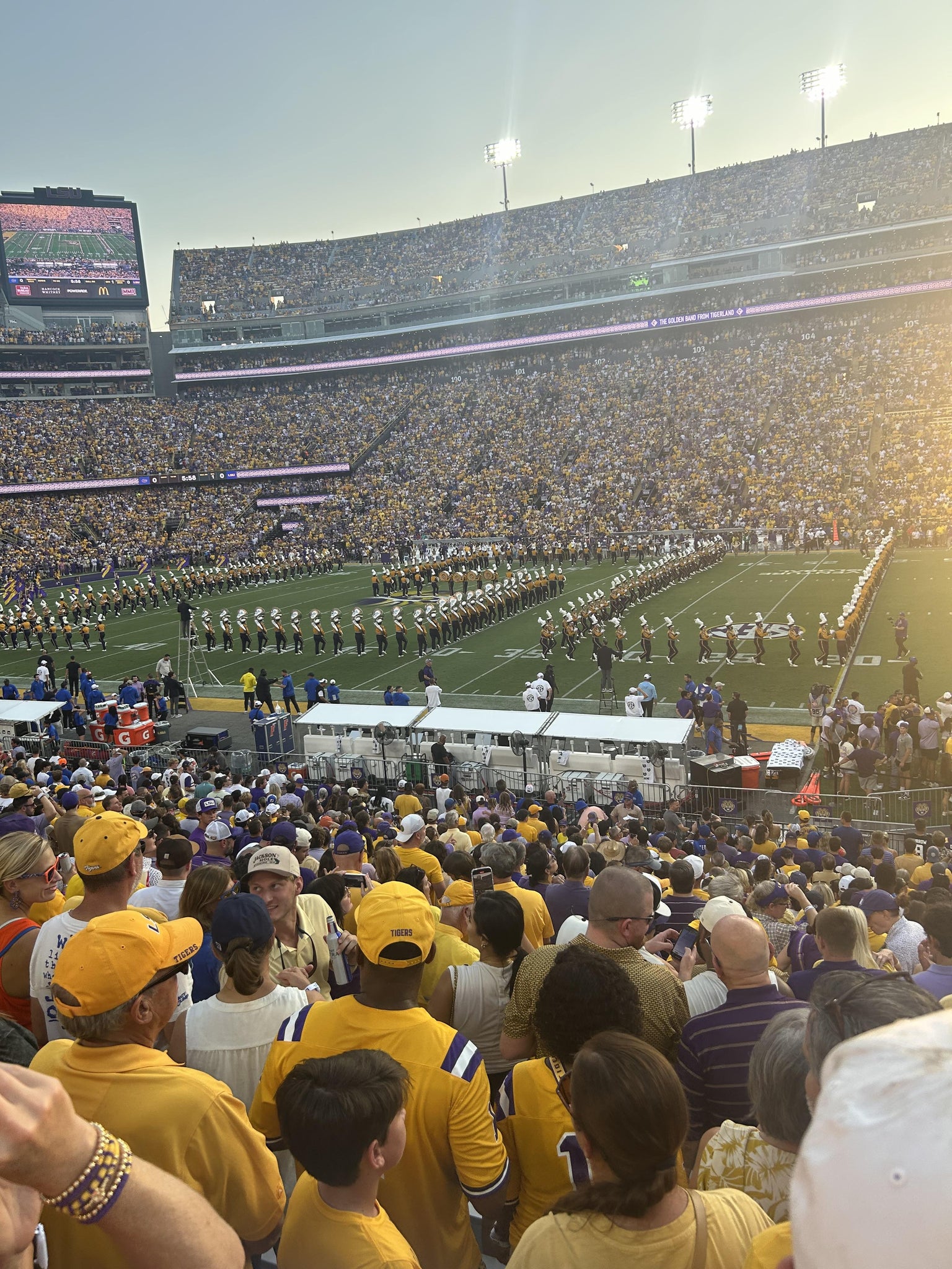 Real Fan View taken from Section 301 at Tiger Stadium by Kristyn P