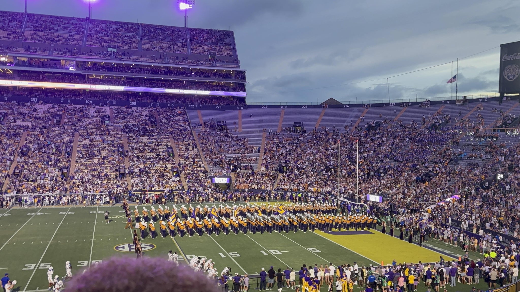 Vue réelle des fans prise de la Section 302 au site Tiger Stadium par Pablo H