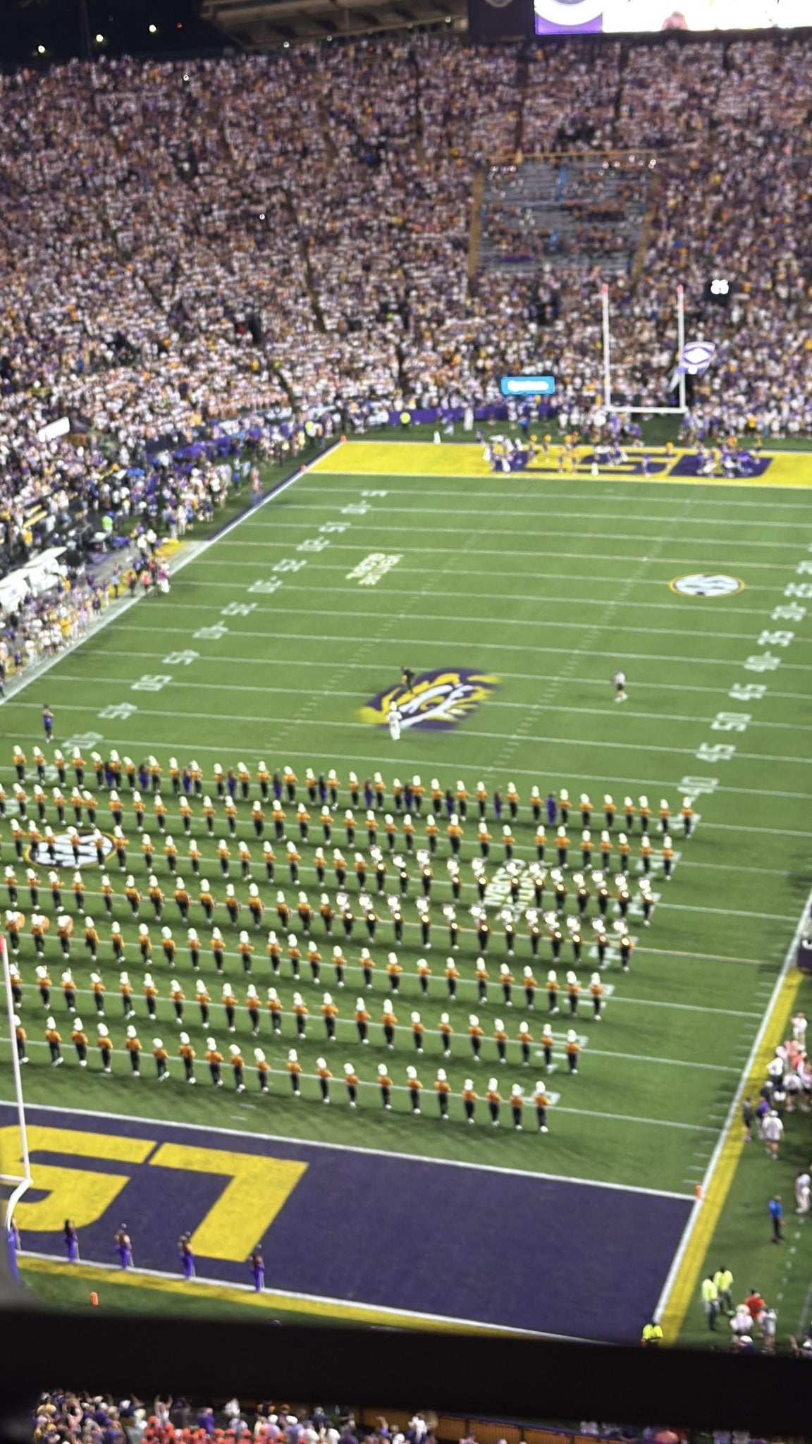 Real Fan View taken from Section 651 at Tiger Stadium by Melody R