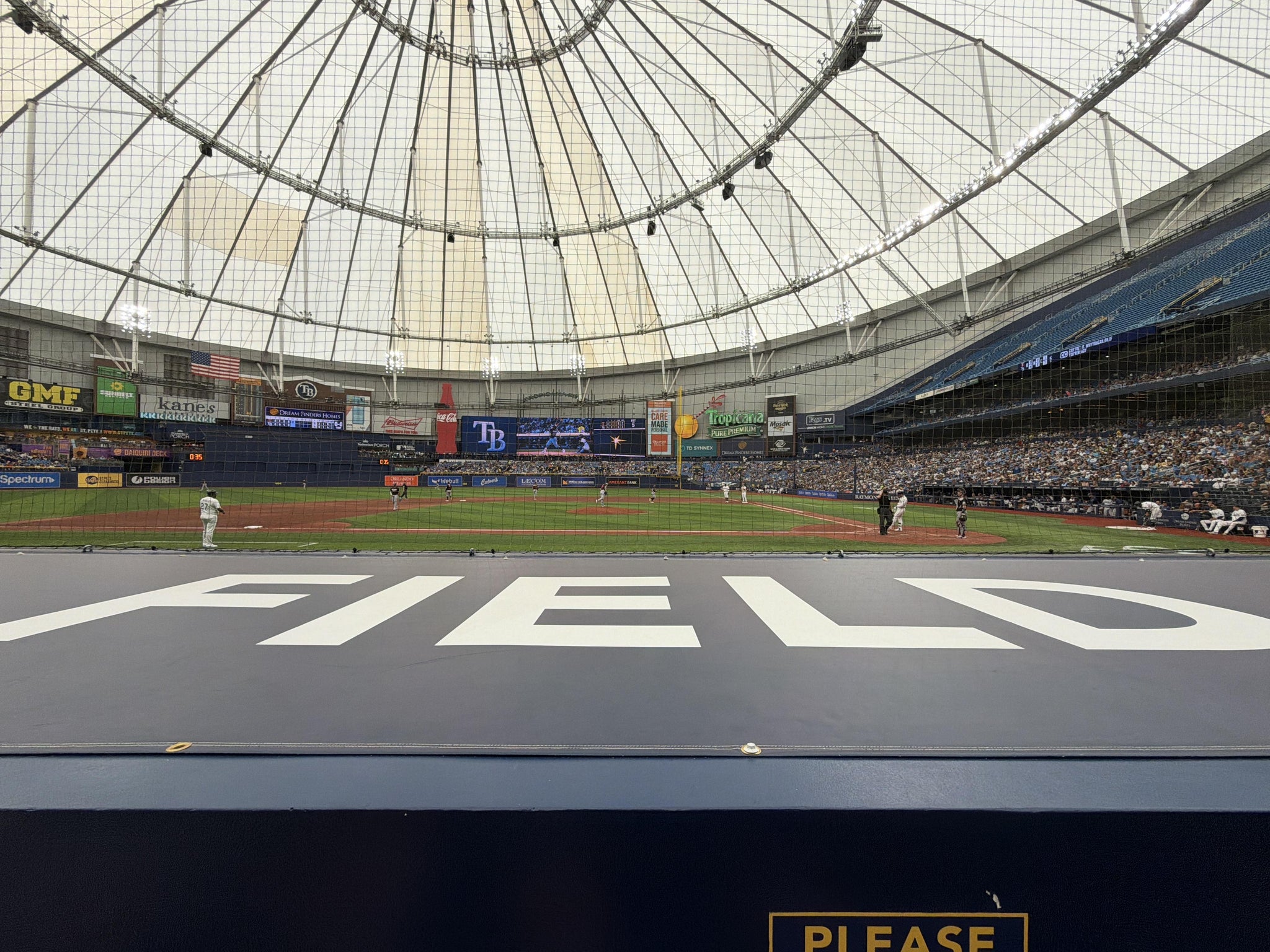 Real Fan View taken from Section 111 at Tropicana Field by Dany R