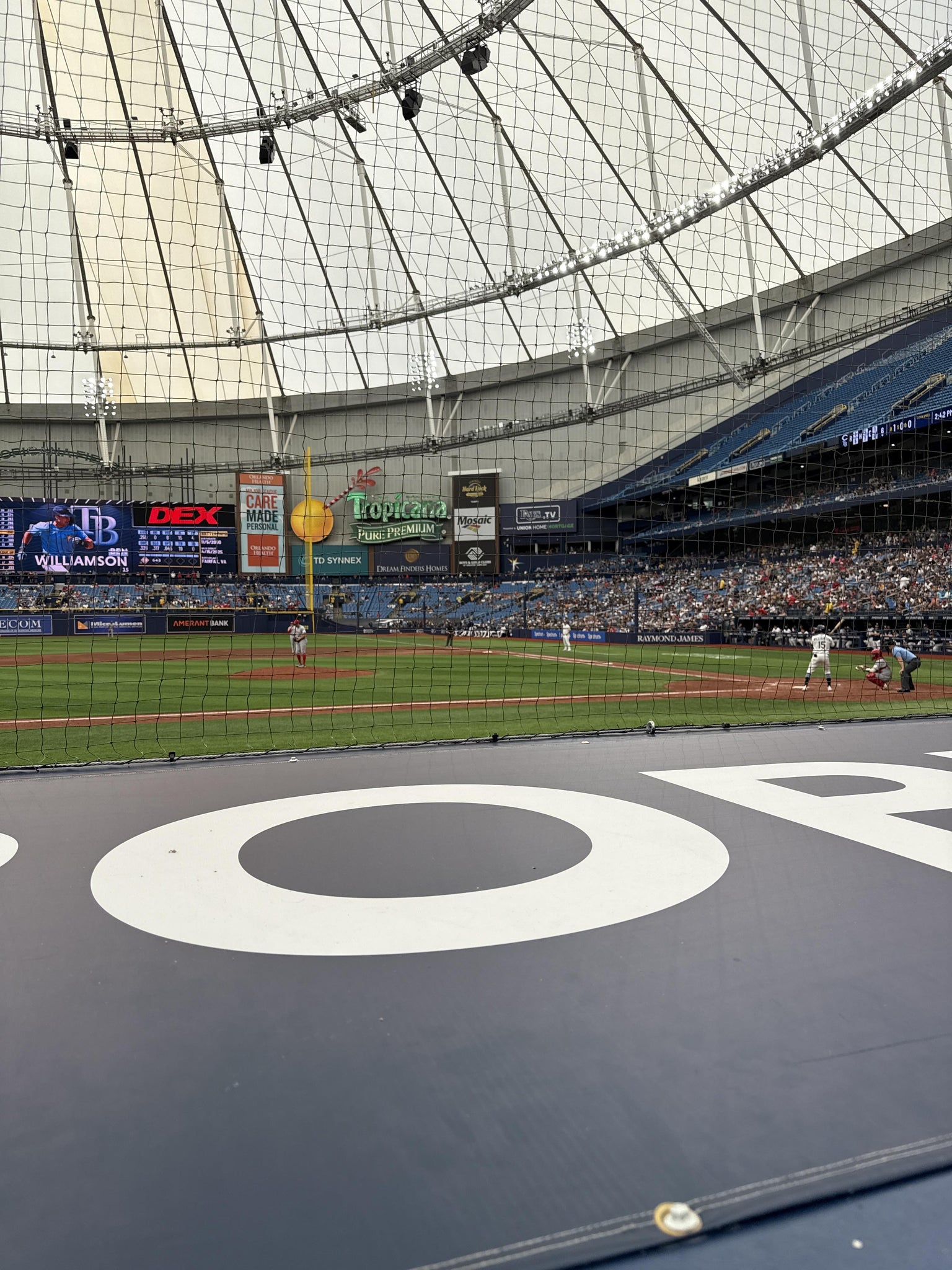 Real Fan View taken from Section 113 at Tropicana Field by Jonathan W