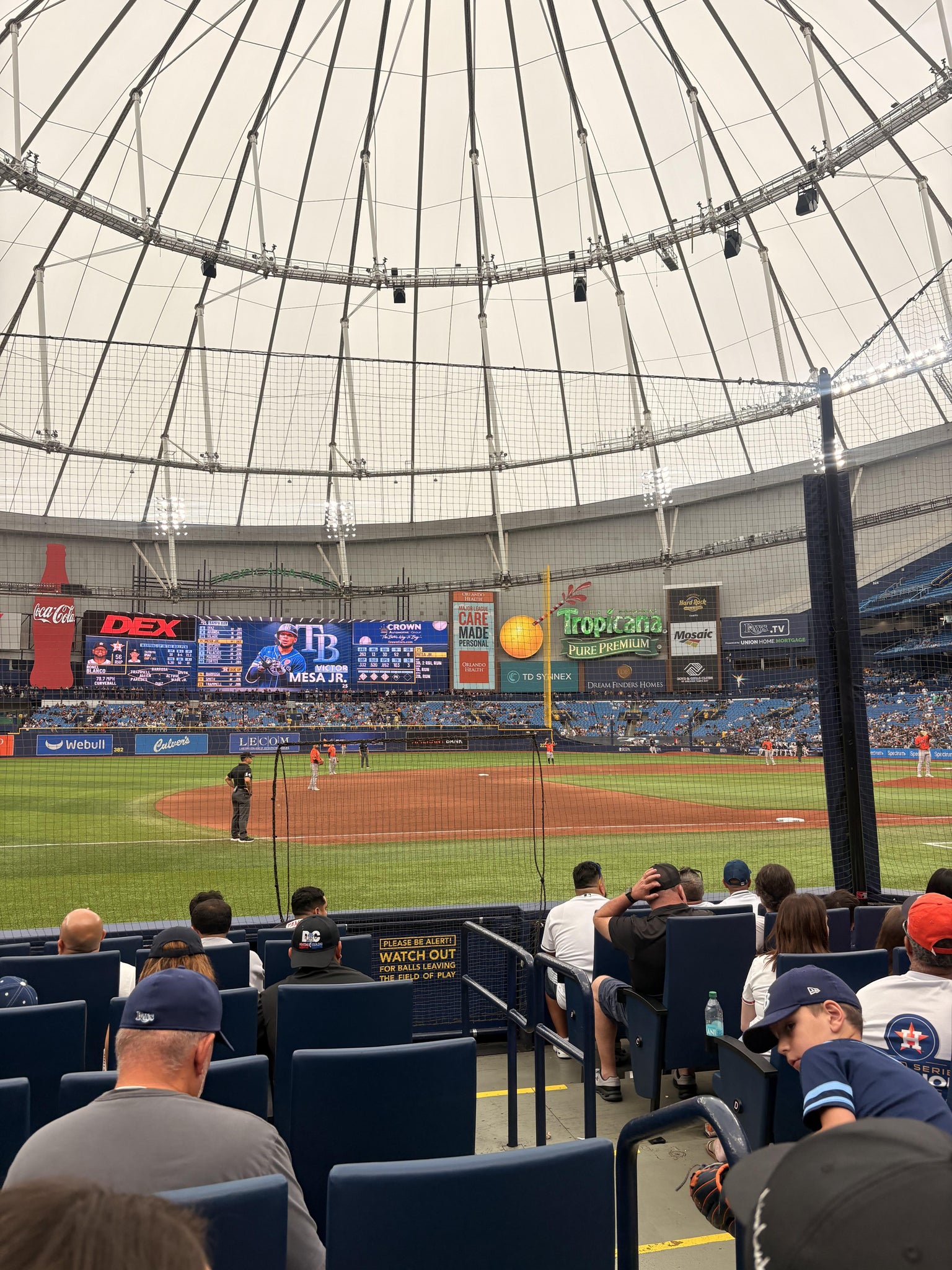 Real Fan View taken from Section 121 at Tropicana Field by Janet S