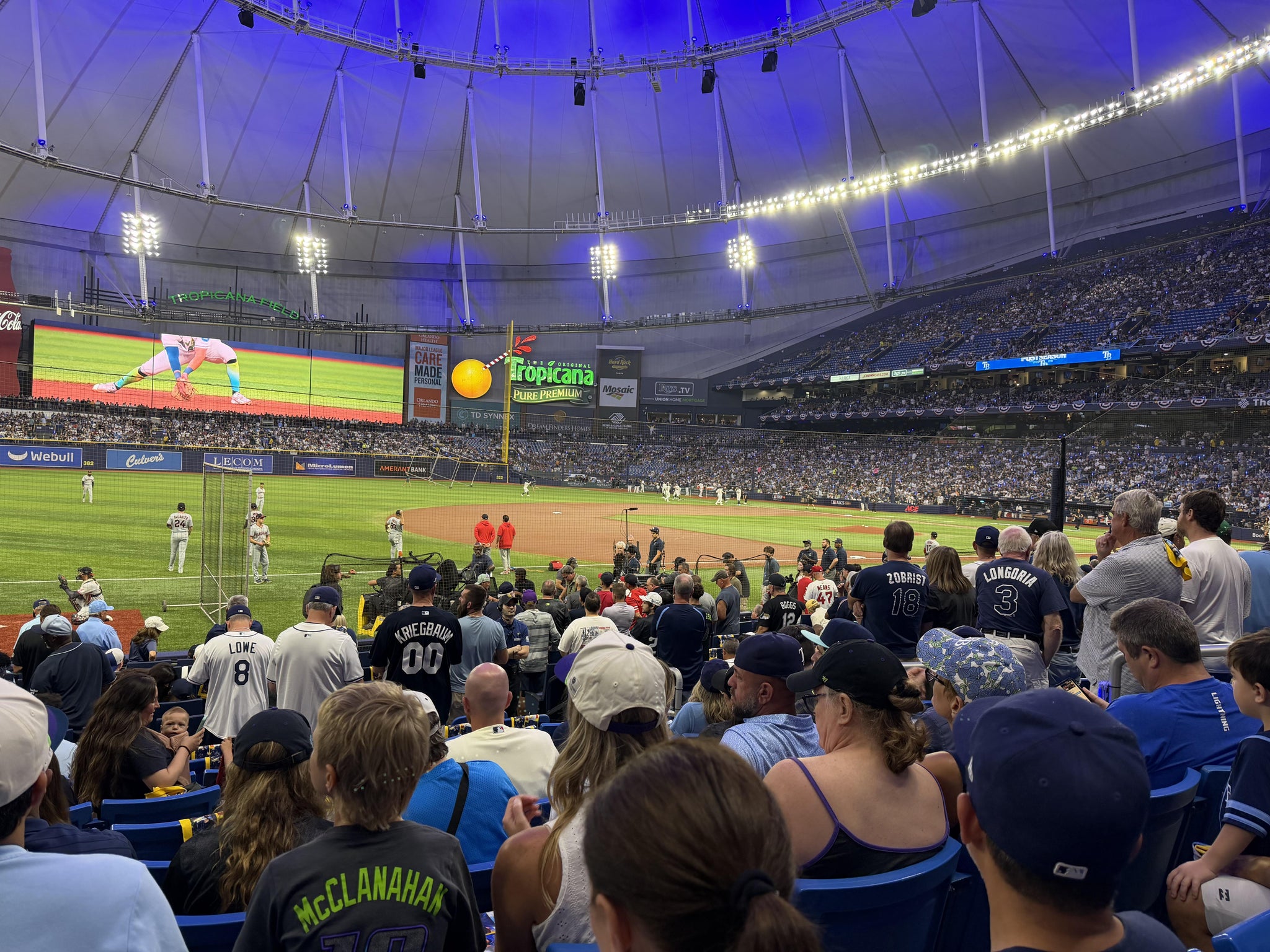 Real Fan View taken from Section 125 at Tropicana Field by Carleton M