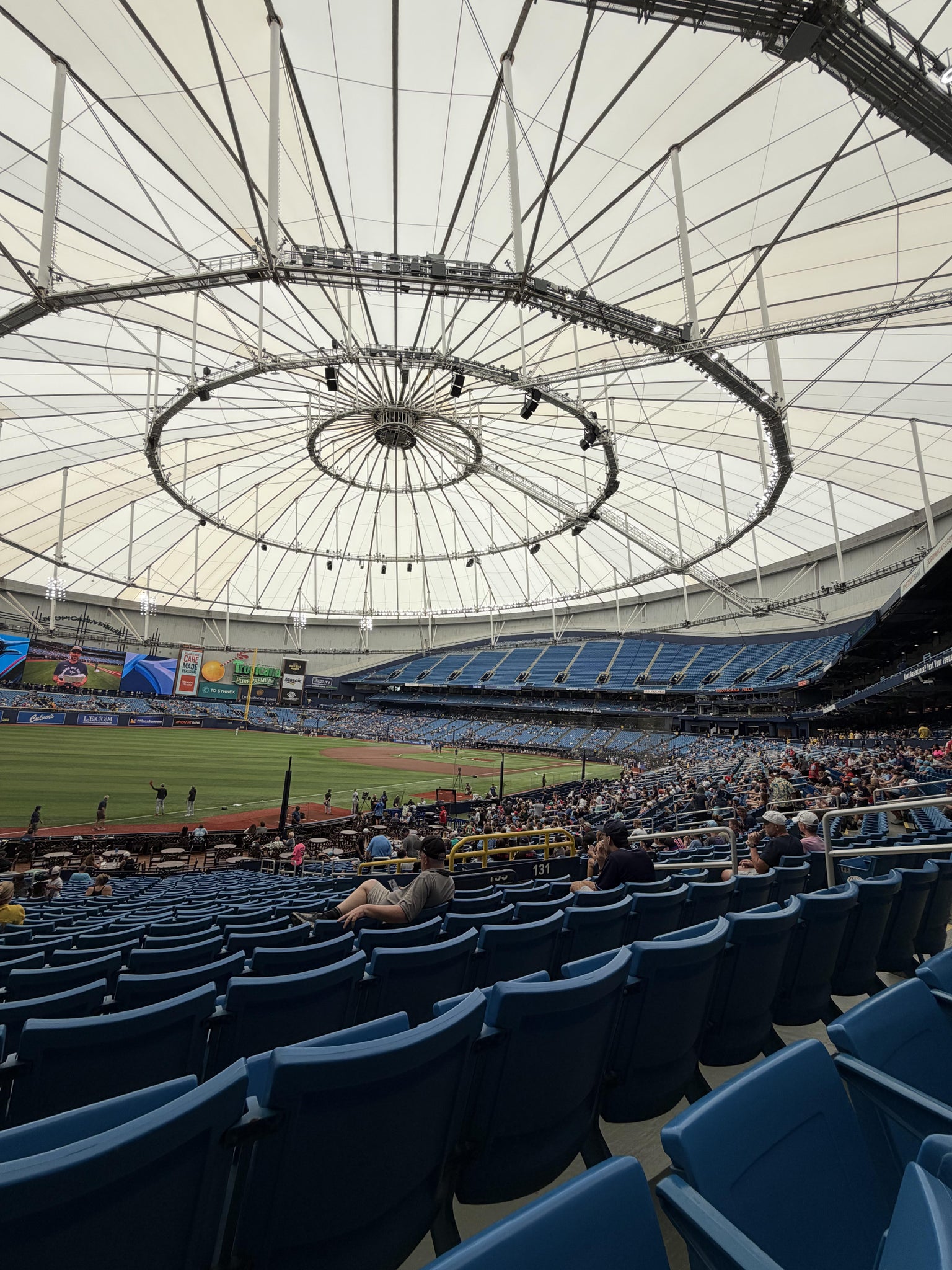 Real Fan View taken from Section 133 at Tropicana Field by Luis L