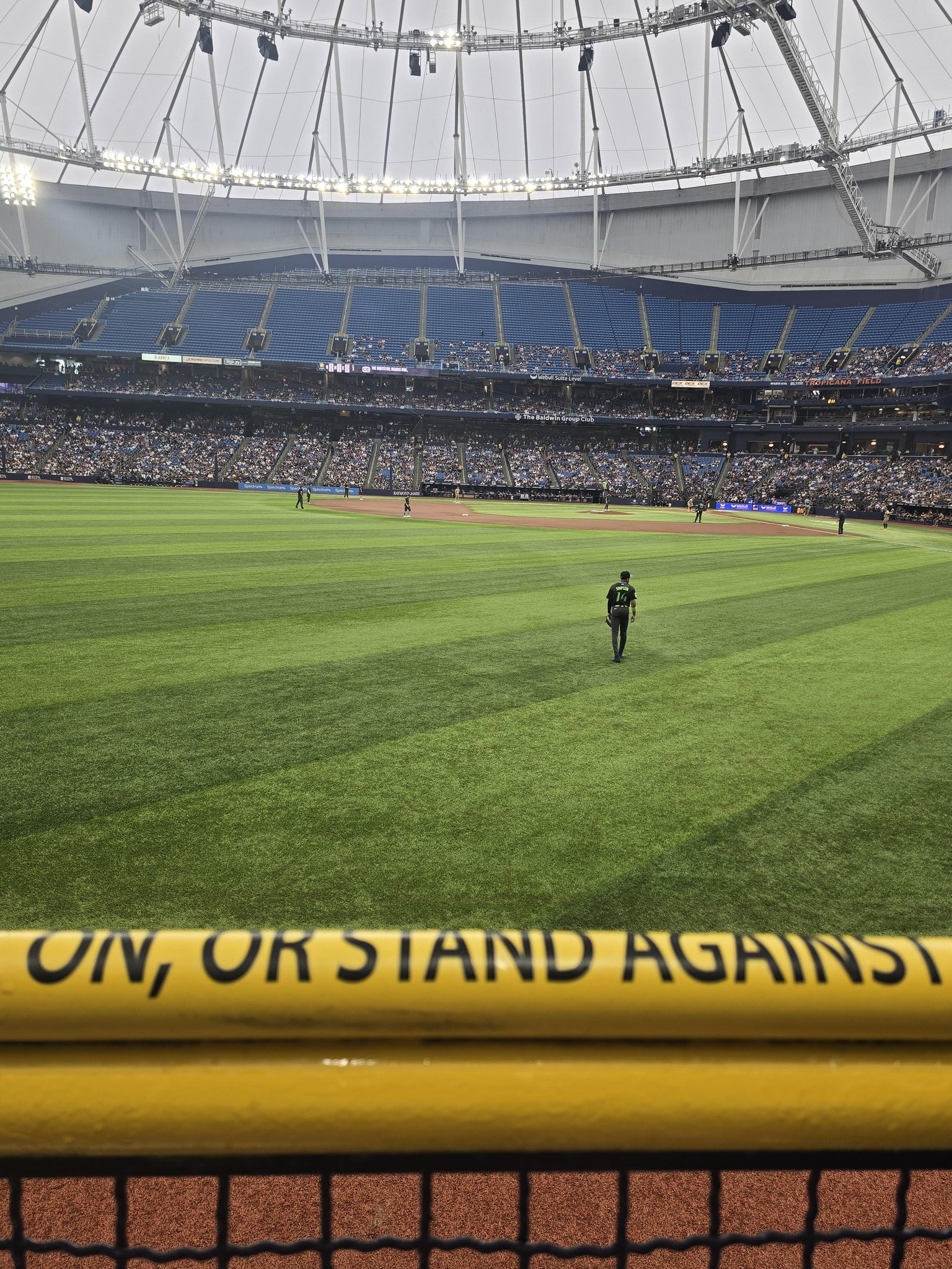 Real Fan View taken from Section 143 at Tropicana Field by Barbara S