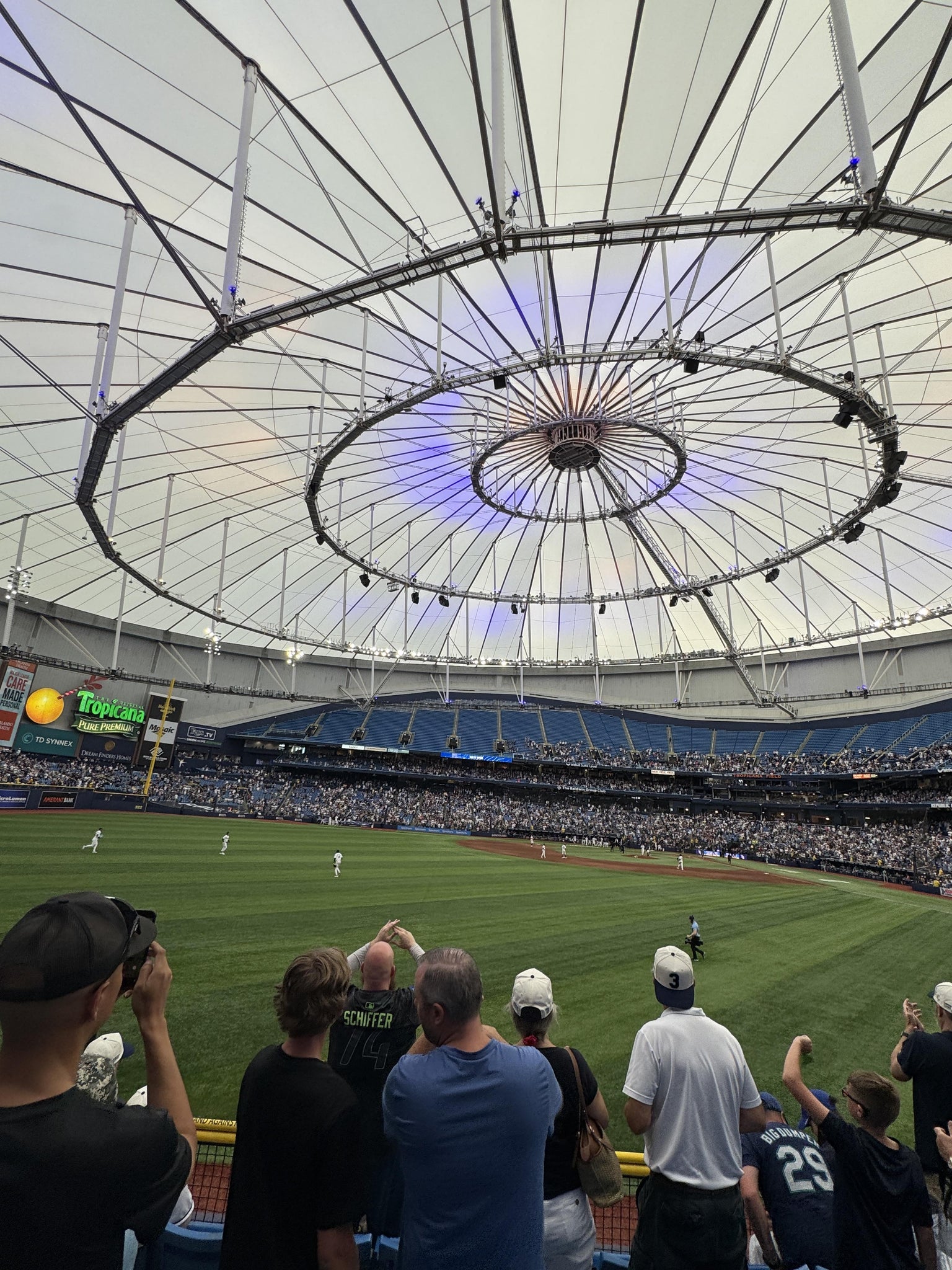 Real Fan View taken from Section 145 at Tropicana Field by Julie B