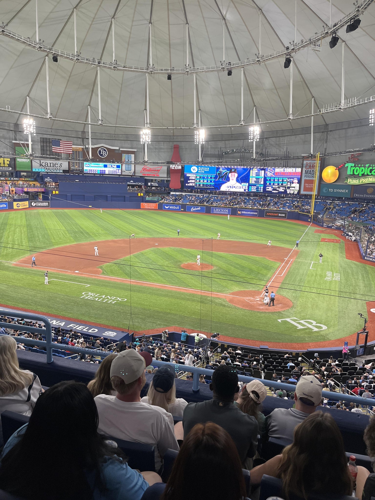 Real Fan View taken from Section 203 at Tropicana Field by Brandi L
