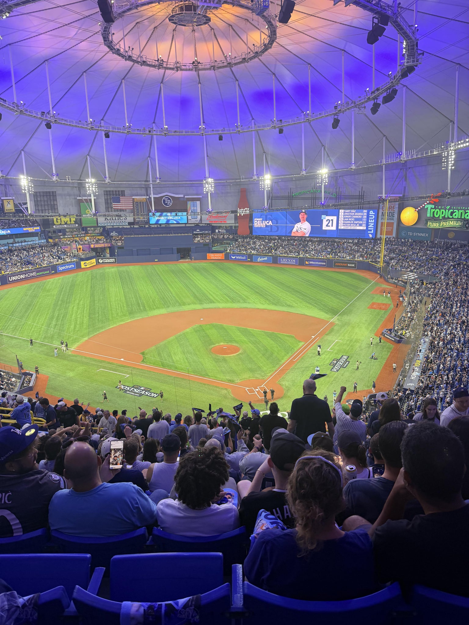 Real Fan View taken from Section 303 at Tropicana Field by Natalia M