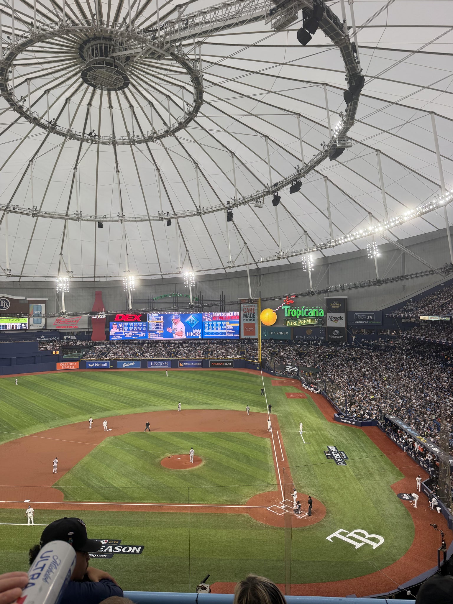 Real Fan View taken from Section 307 at Tropicana Field by Shelley F