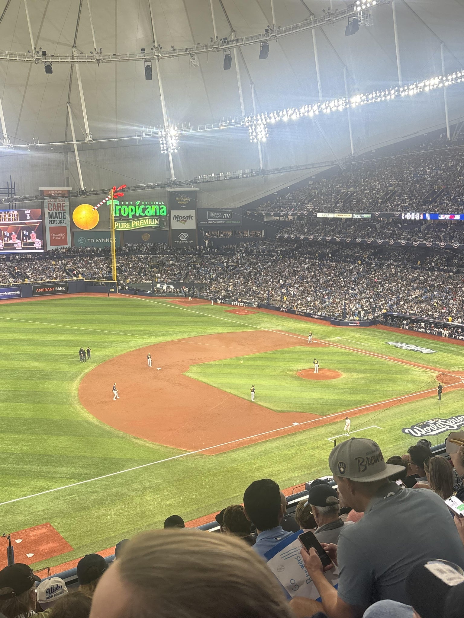 Real Fan View taken from Section 317 at Tropicana Field by Lisa P