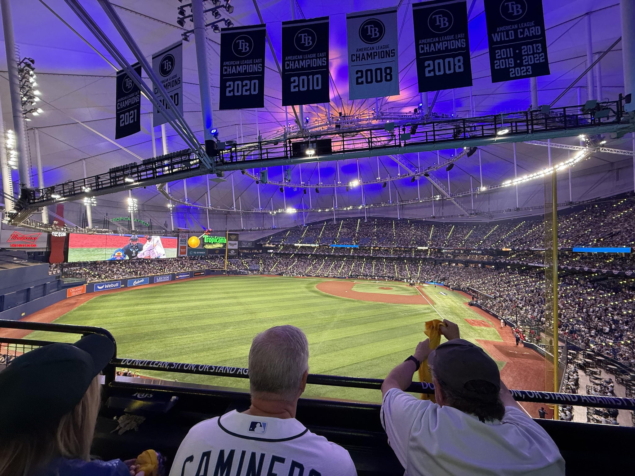 Real Fan View taken from Section 347 at Tropicana Field by Nathan A