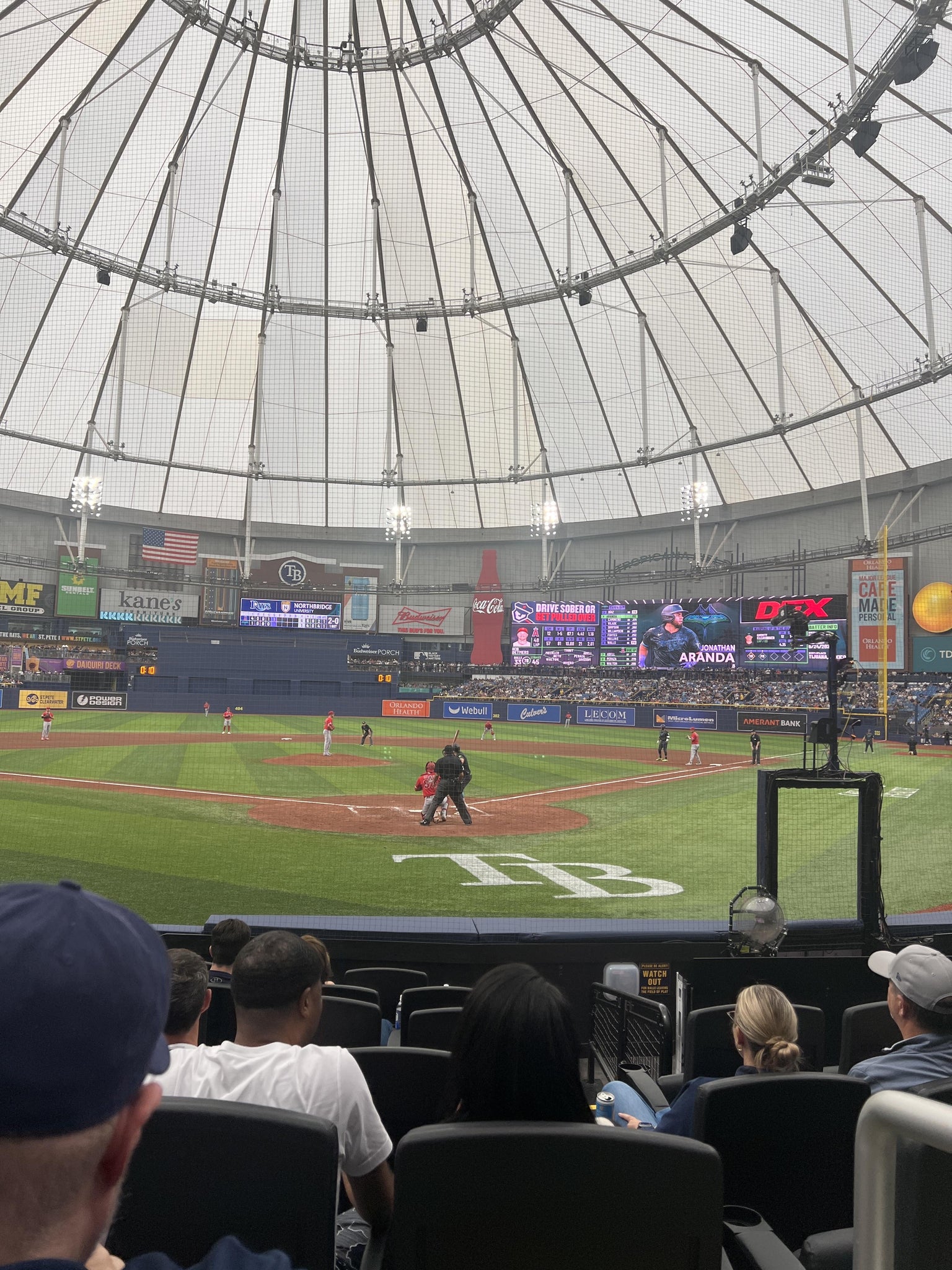 Real Fan View taken from Home Plate Box 103 at Tropicana Field by Tara T