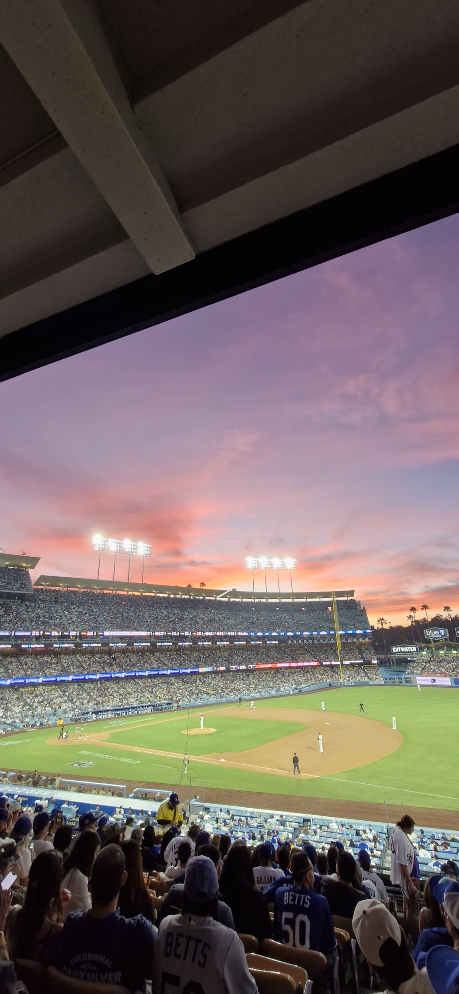 Real Fan View taken from Section 146 LG at UNIQLO Field at Dodger Stadium by Lilia B