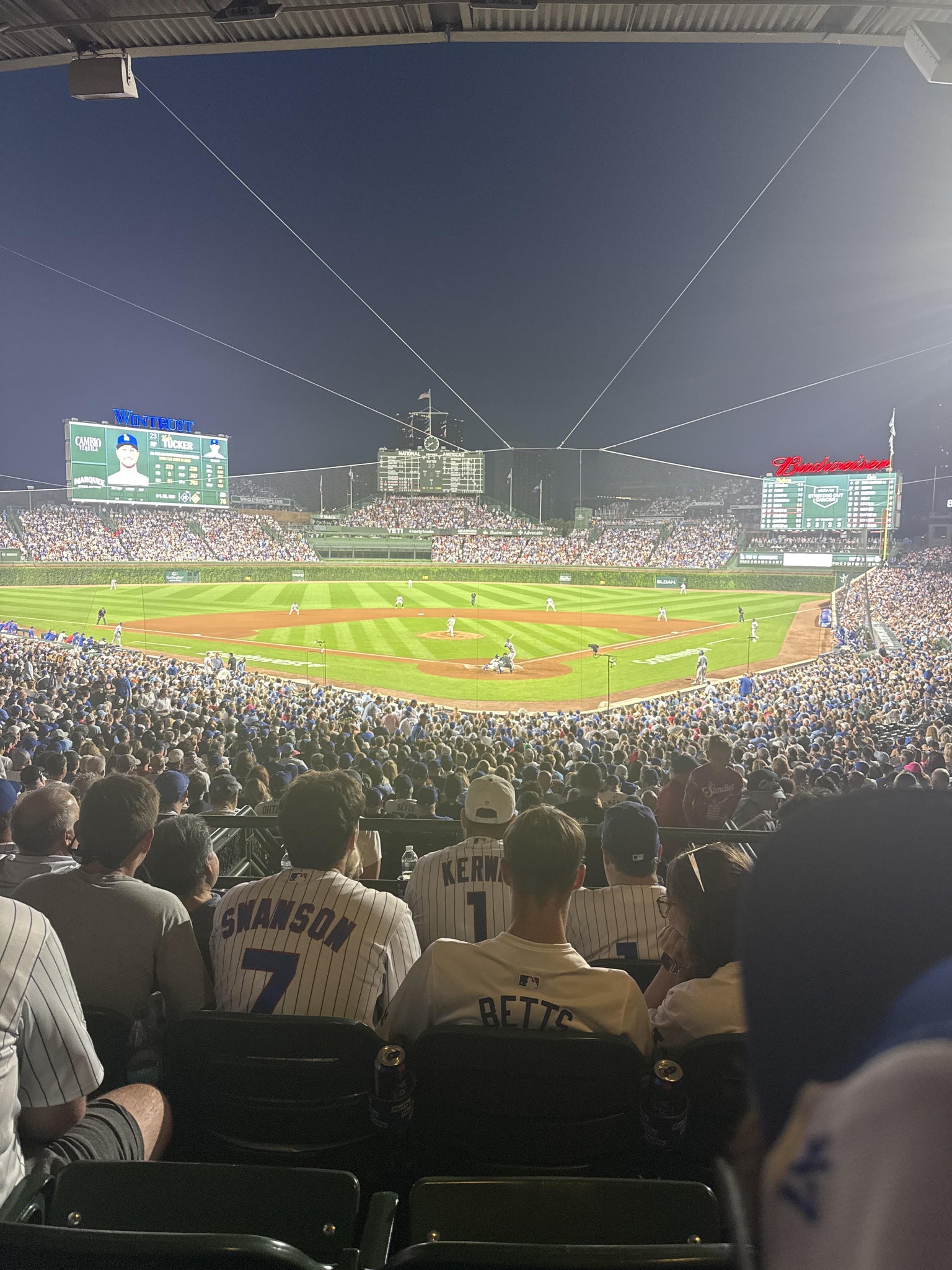 Real Fan View taken from Section 216 at Wrigley Field by Lanwood L