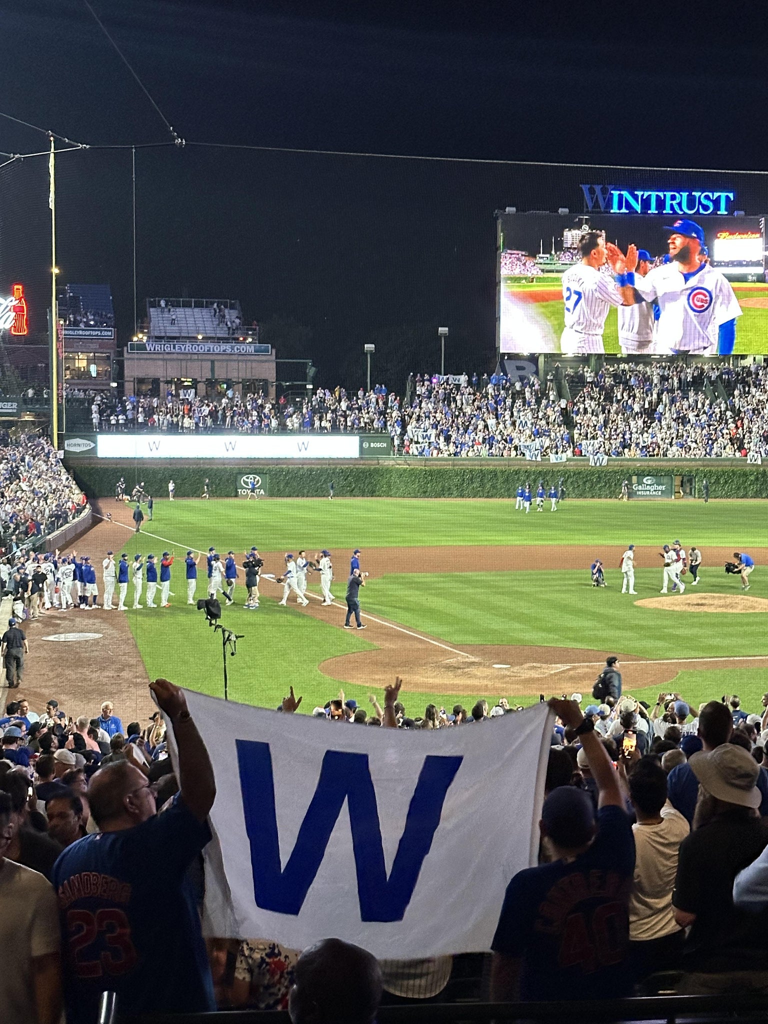 Real Fan View taken from Section 220 at Wrigley Field by Ryan P