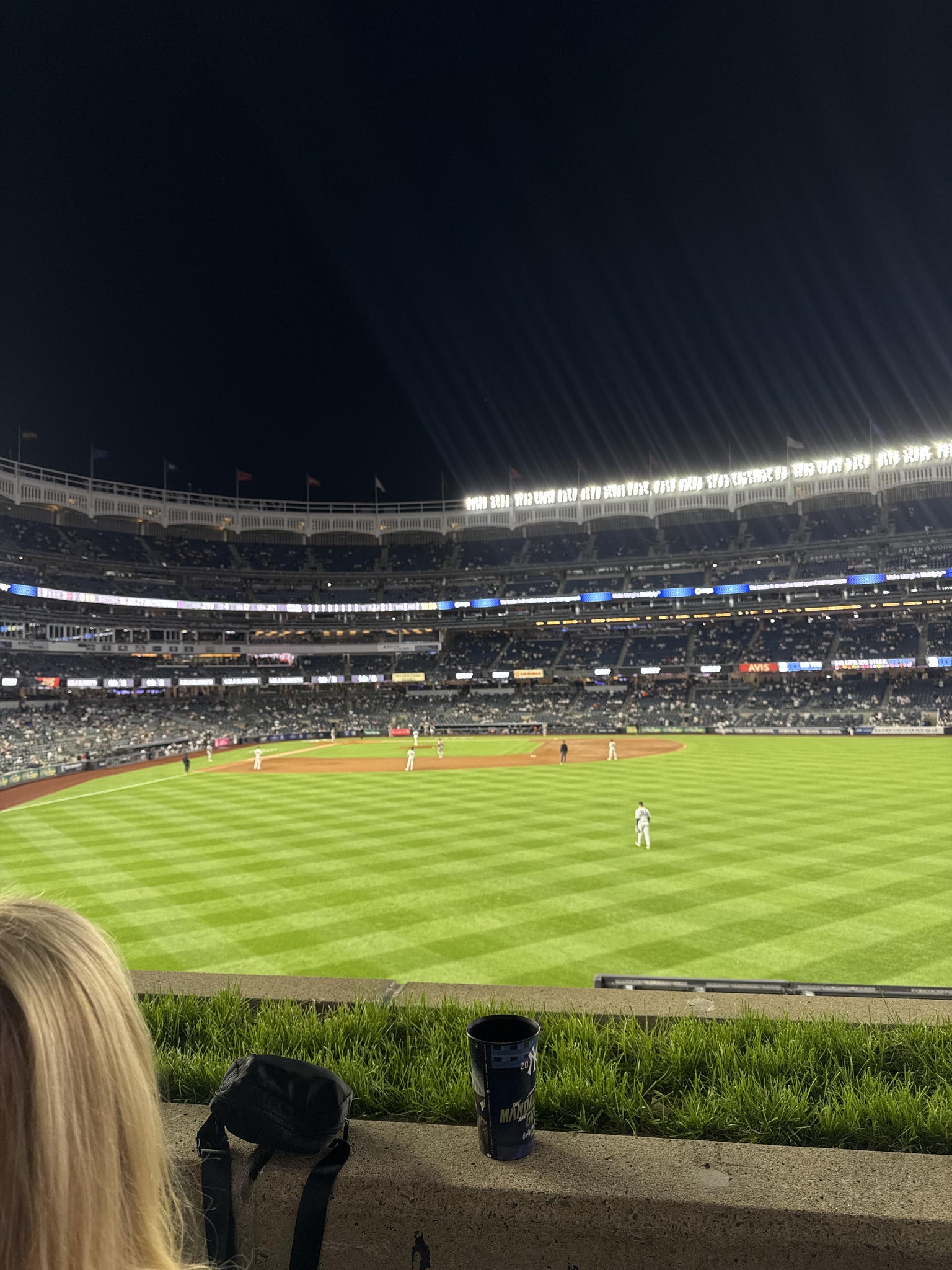 Real Fan View taken from Bleachers 204 at Yankee Stadium by Valeria A