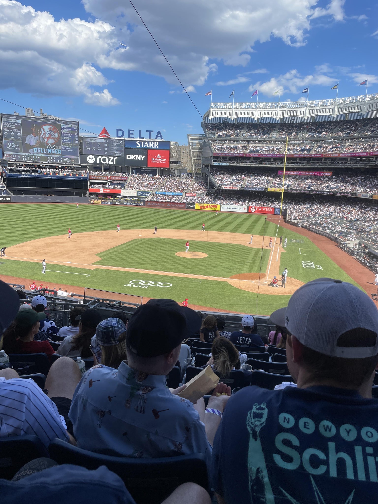 Real Fan View taken from Delta Suite 222 at Yankee Stadium by Nicholas C