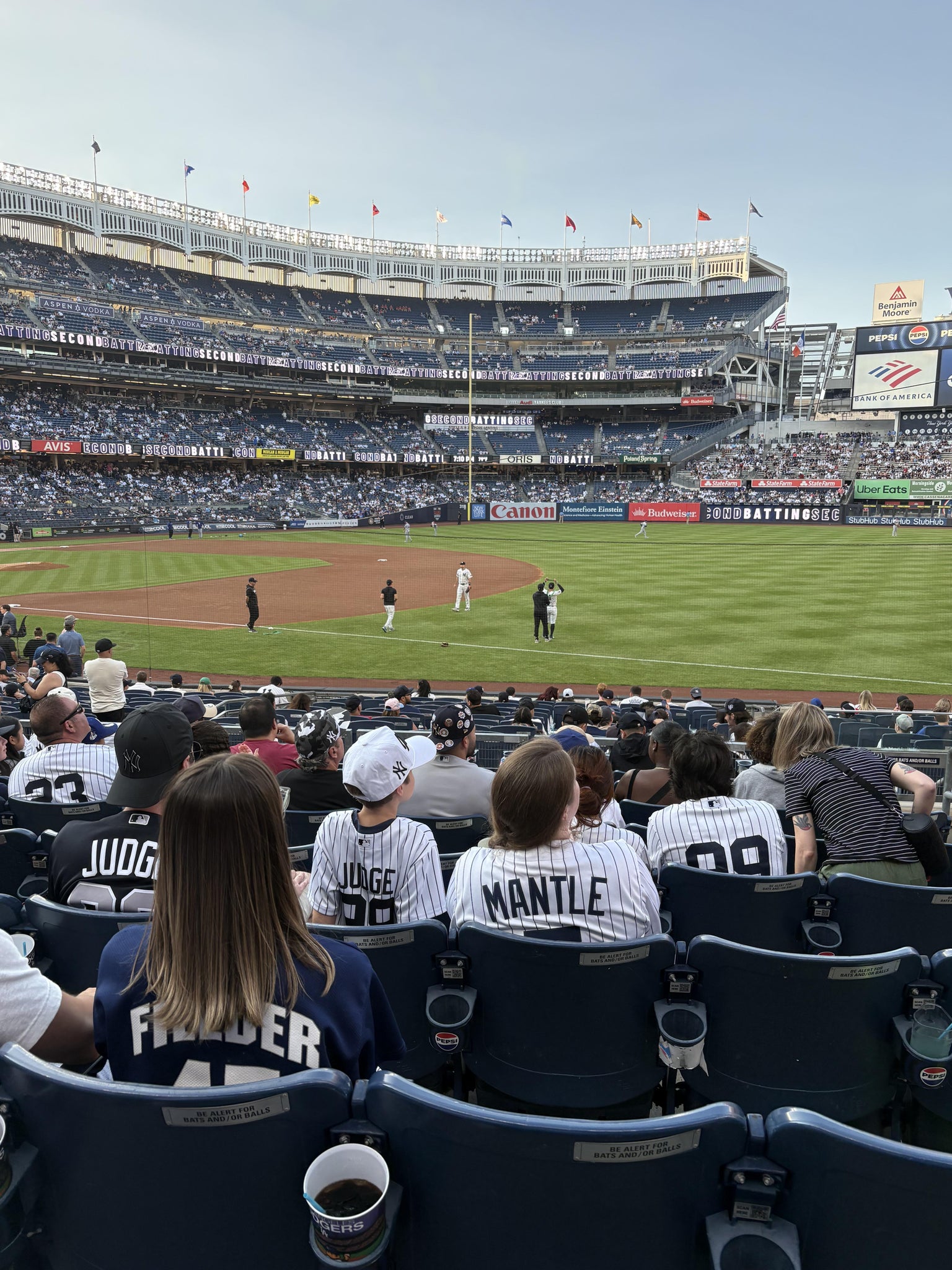 Real Fan View taken from Field Level 113 at Yankee Stadium by John F